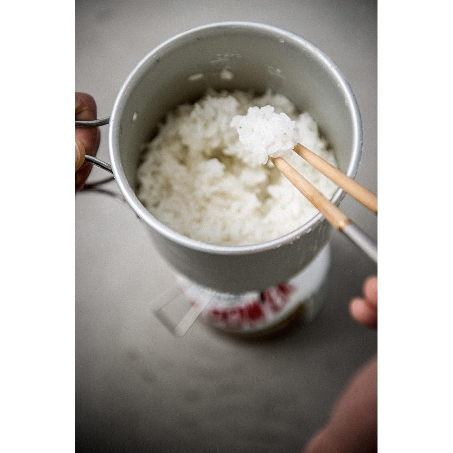 Giga Power StoveAuto Renewed, GS-100AR2-US