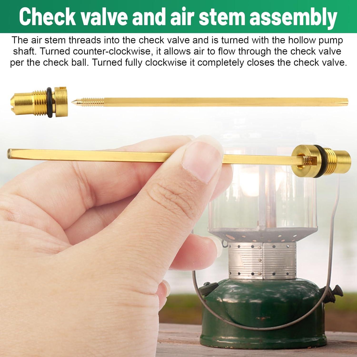 Conjunto de Válvula de Retención y Vástago de Aire XT - 2 Piezas