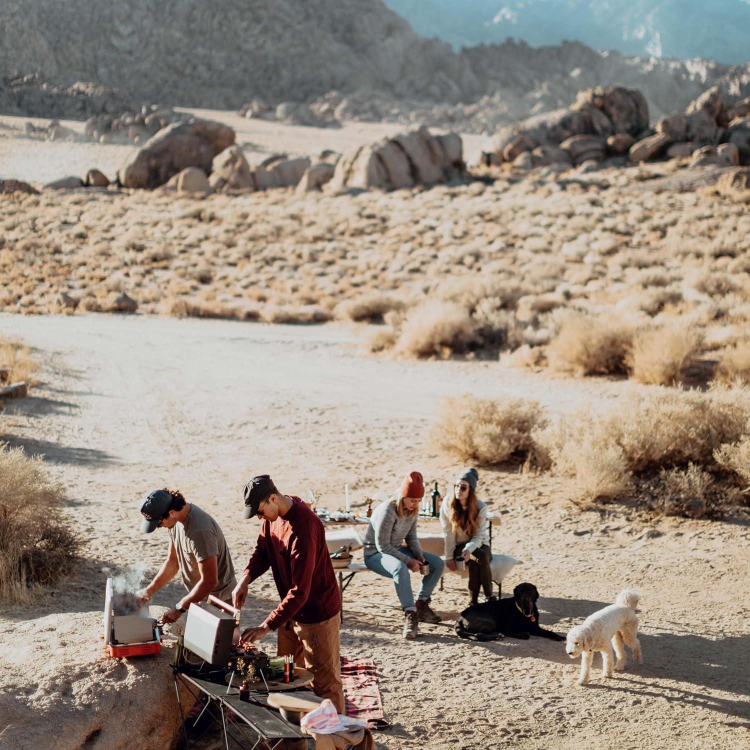 Estufa de Camping Primus Profile 2 Quemadores Gas 4100W Negra