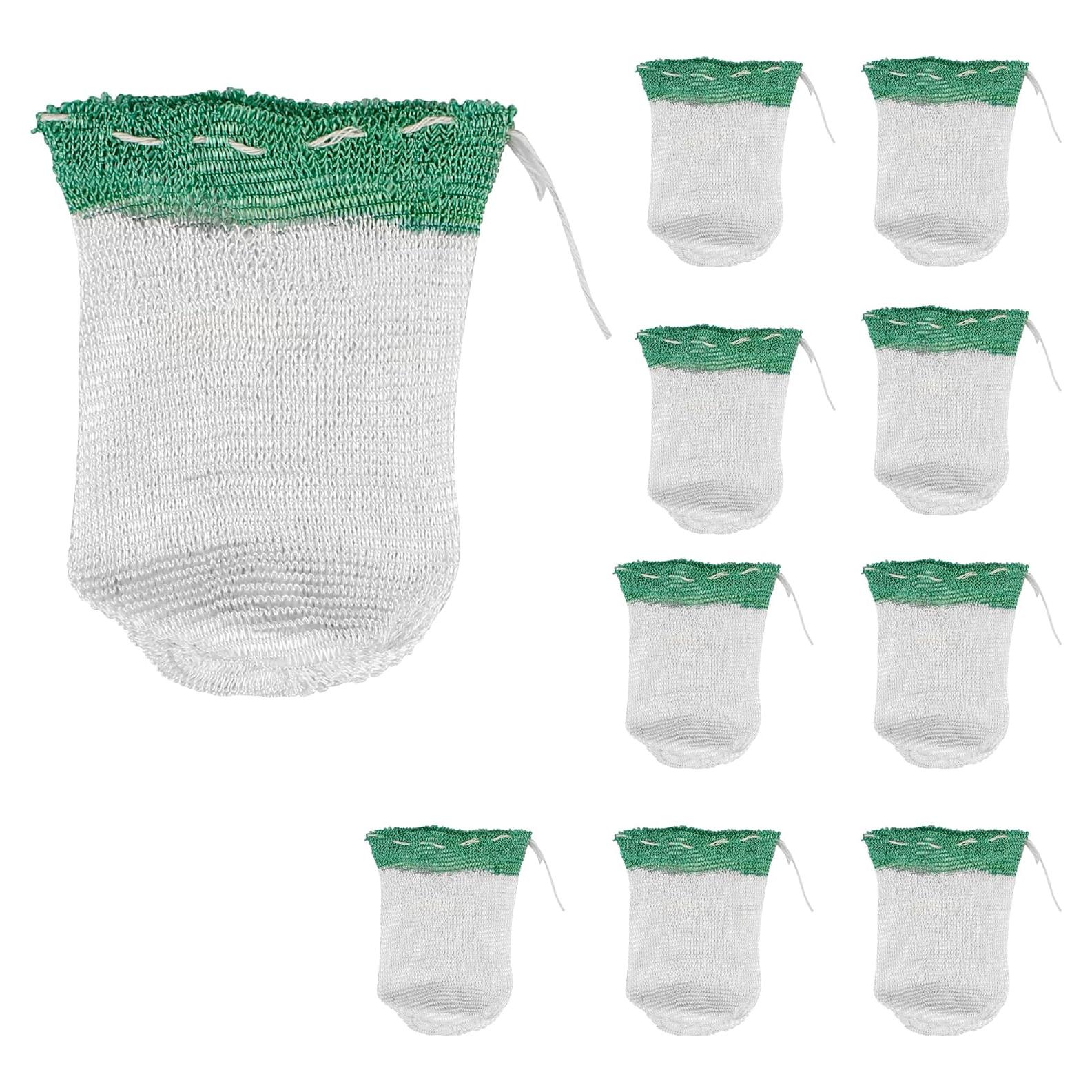 Mantillos de Linterna Coleman #21 - Paquete de 10 Unidades