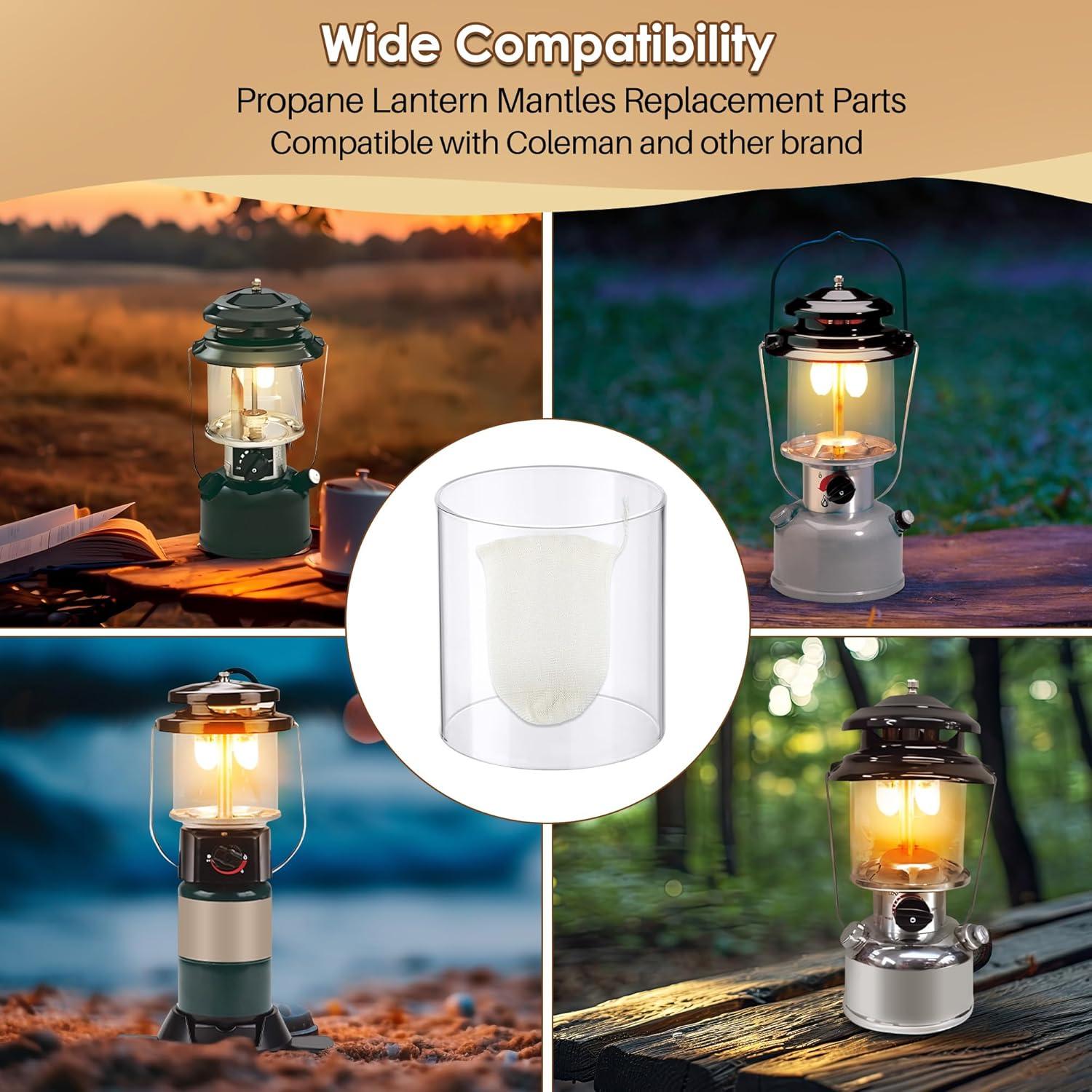 11 Piezas Pantallas de Linterna de Propano Ceoighe Reemplazo