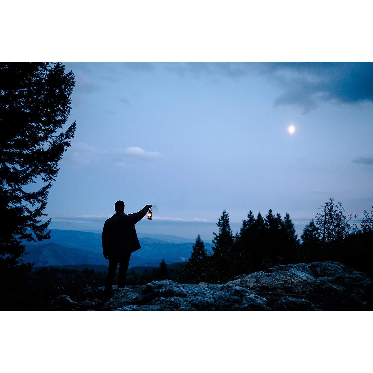 Linterna de Aceite Huracán Stansport 20.32 cm Ajustable