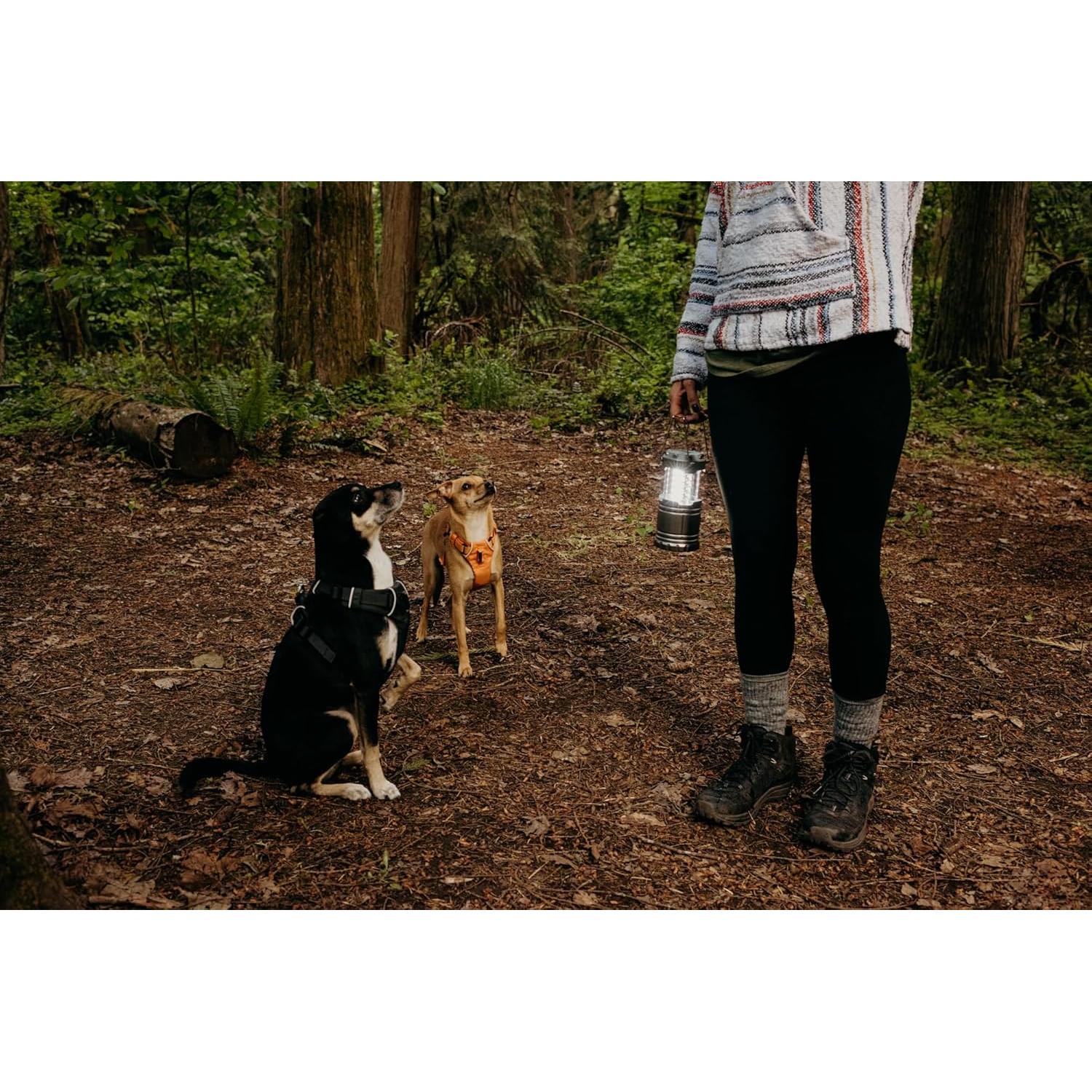 Linterna LED Plegable Cascade Mountain Tech - 2 Piezas