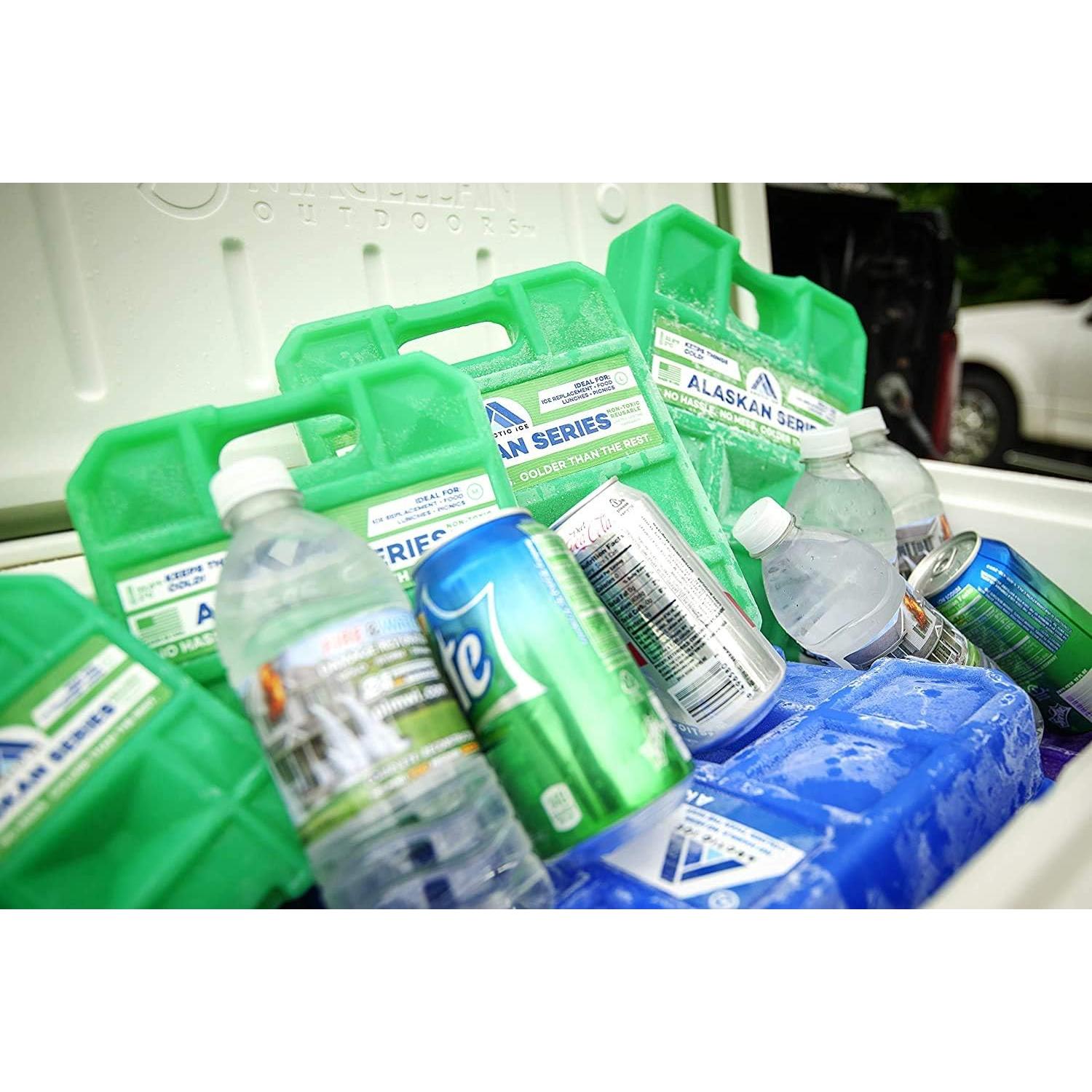 Paquete de Hielo Reutilizable Arctic Ice Alaskan 2 Pk 2.27 kg