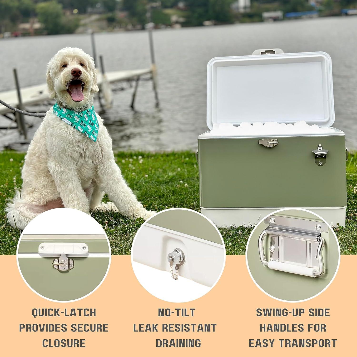 Enfriador de Metal FSE C54-G 80 Latas Verde Oliva