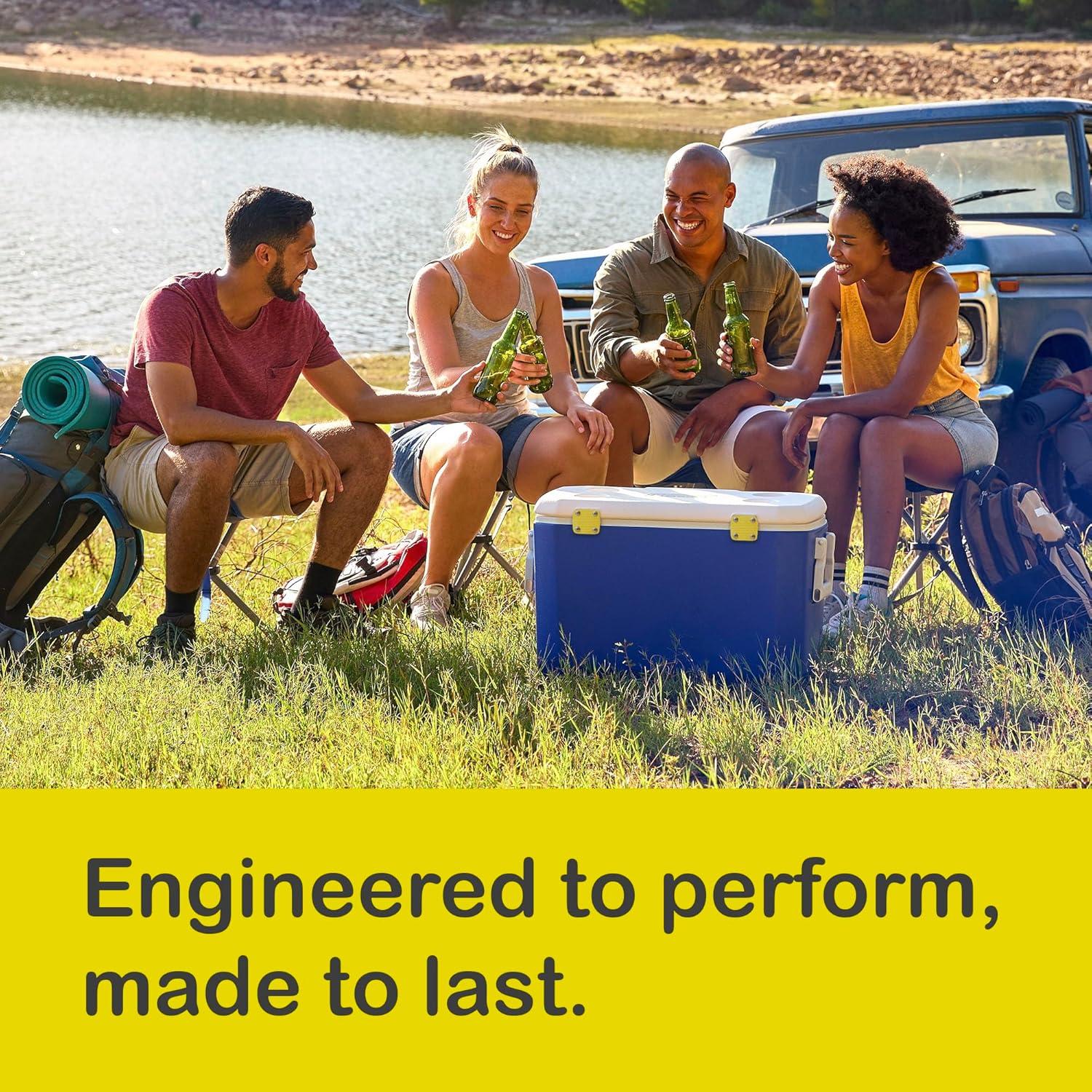 Kit de Bisagras Irrompibles Unhinged Solutions - 2 Pzas + Correa