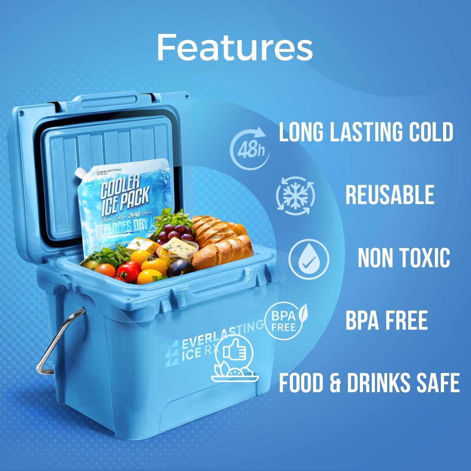 Paquete de 4 Paquetes de Hielo Reutilizables Everlasting Ice RX