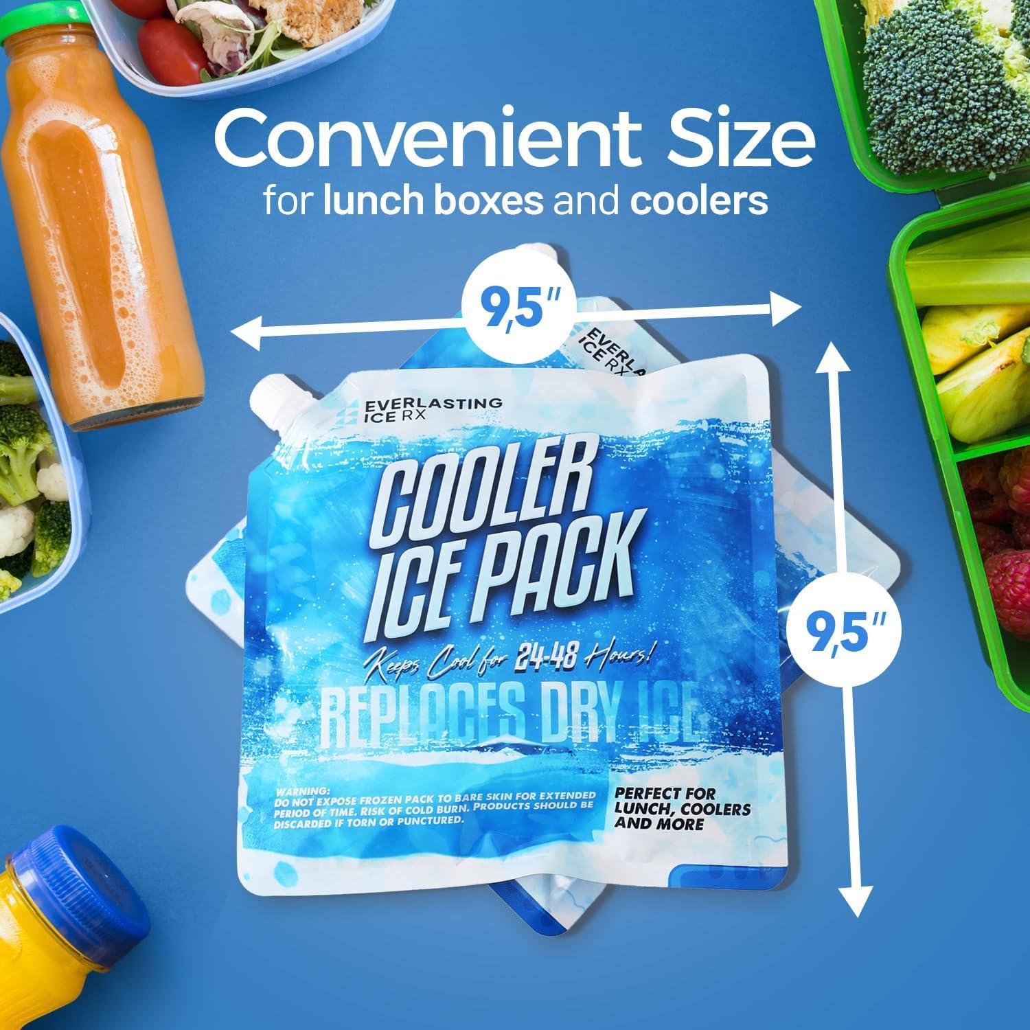 Paquete de 4 Paquetes de Hielo Reutilizables Everlasting Ice RX