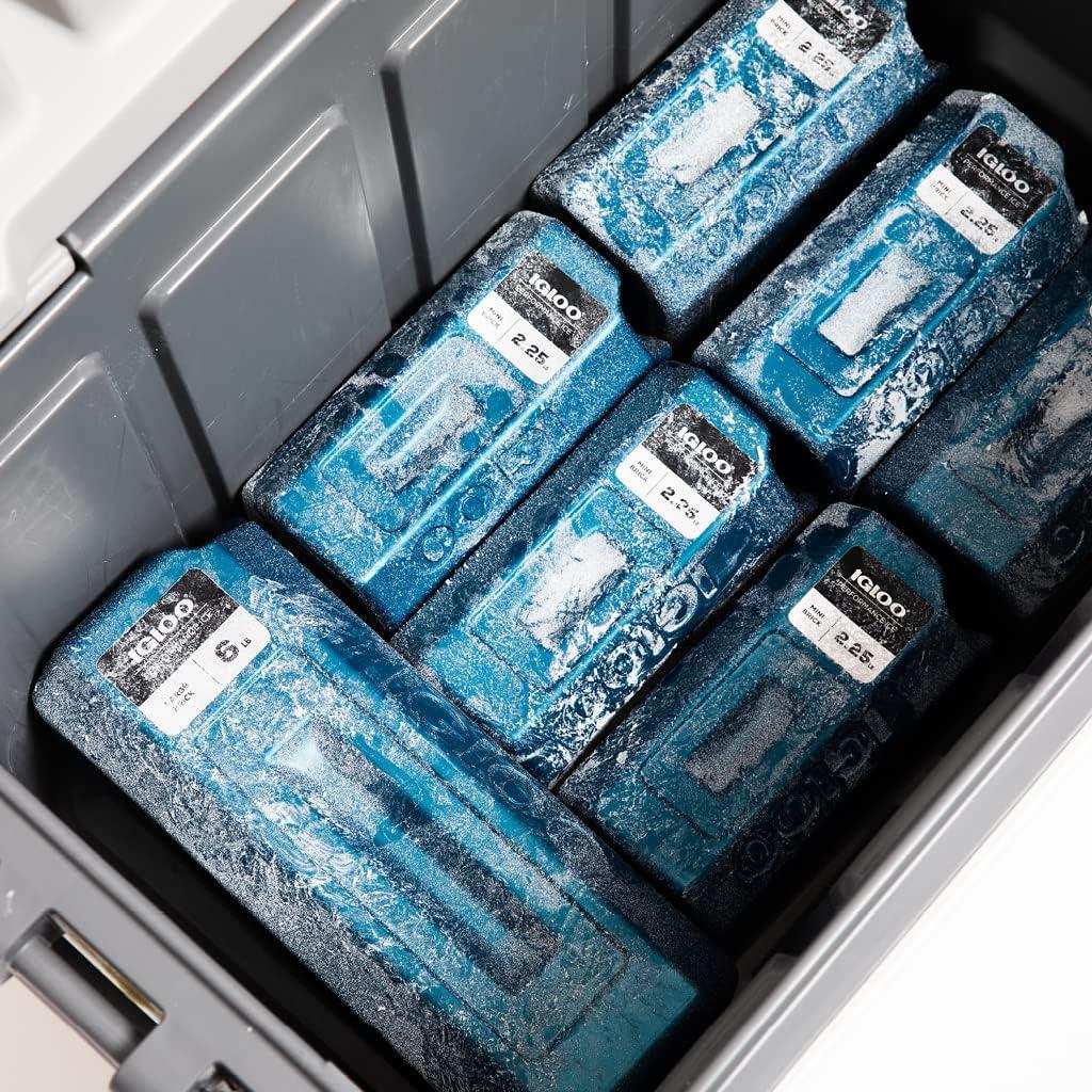 Bloque de Hielo XL Igloo 2.72 kg Reutilizable y Modular