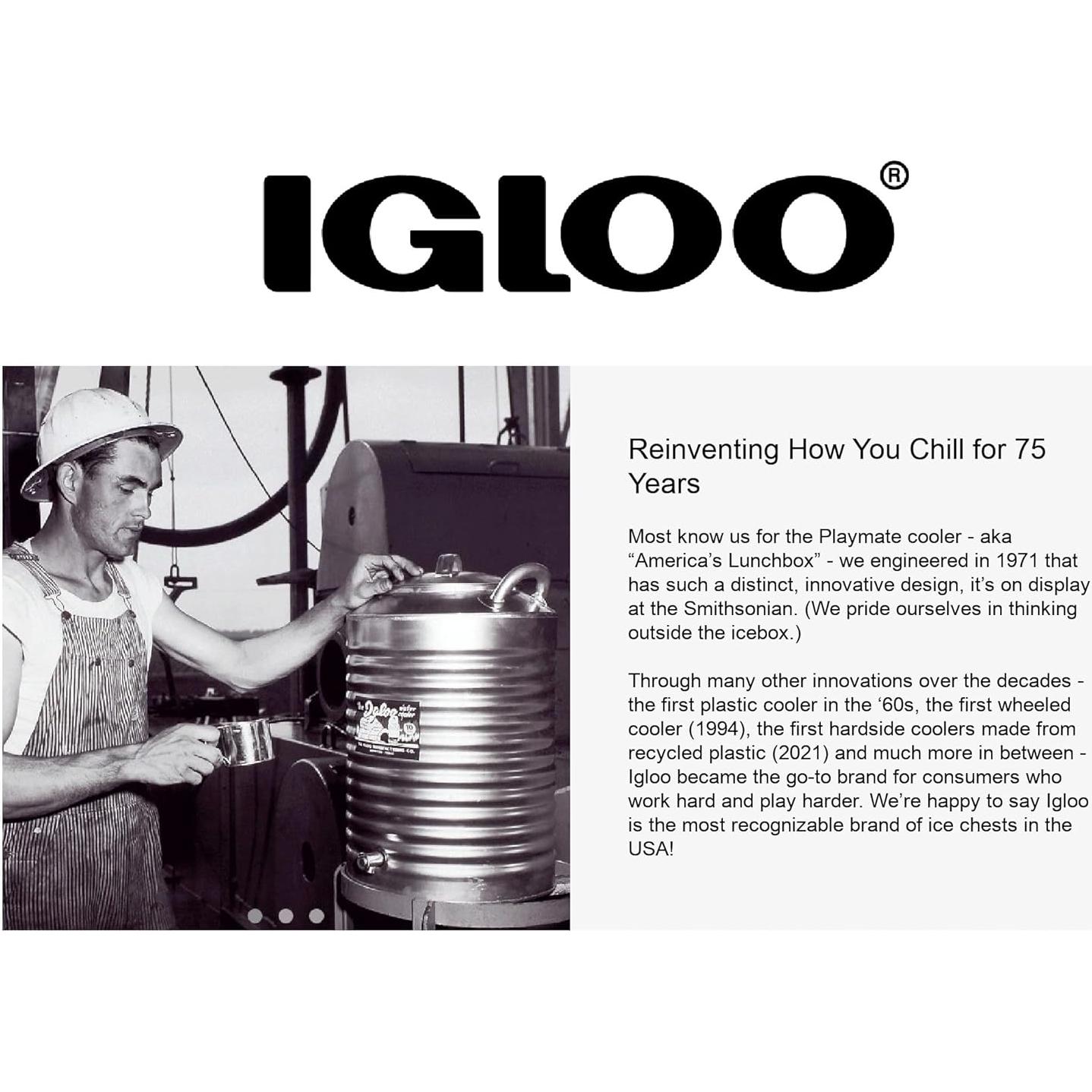 Igloo Cooler Heavy-Duty Stainless Steel Parts Kit - 2 Latches, 3 Hinges, Latch Posts & Screws - Marine-Grade, Corrosion-Resistant Parts