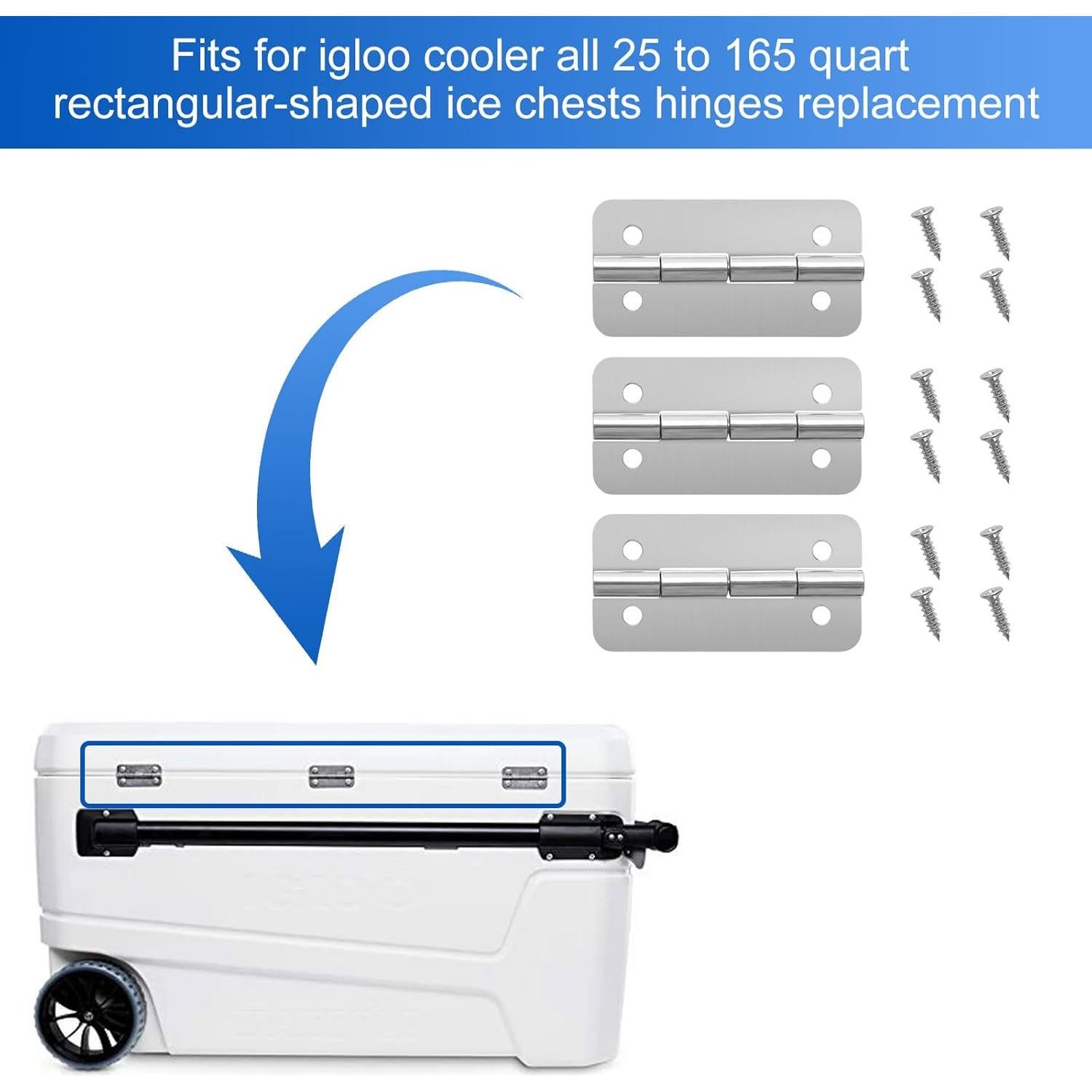 Bisagras de Acero Inoxidable GEAIN para Cooler Igloo - Paquete de 3