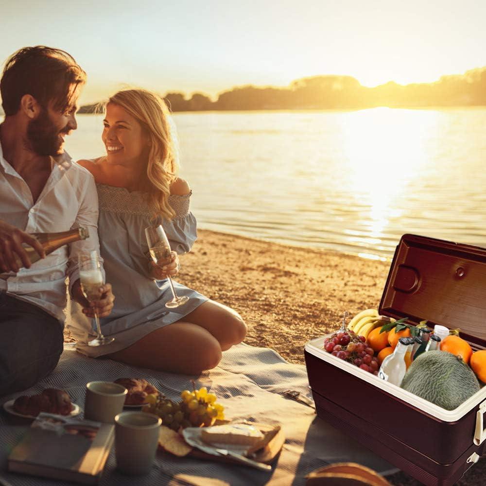 Bisagras de Acero Inoxidable 316 Radezon para Enfriadores Igloo