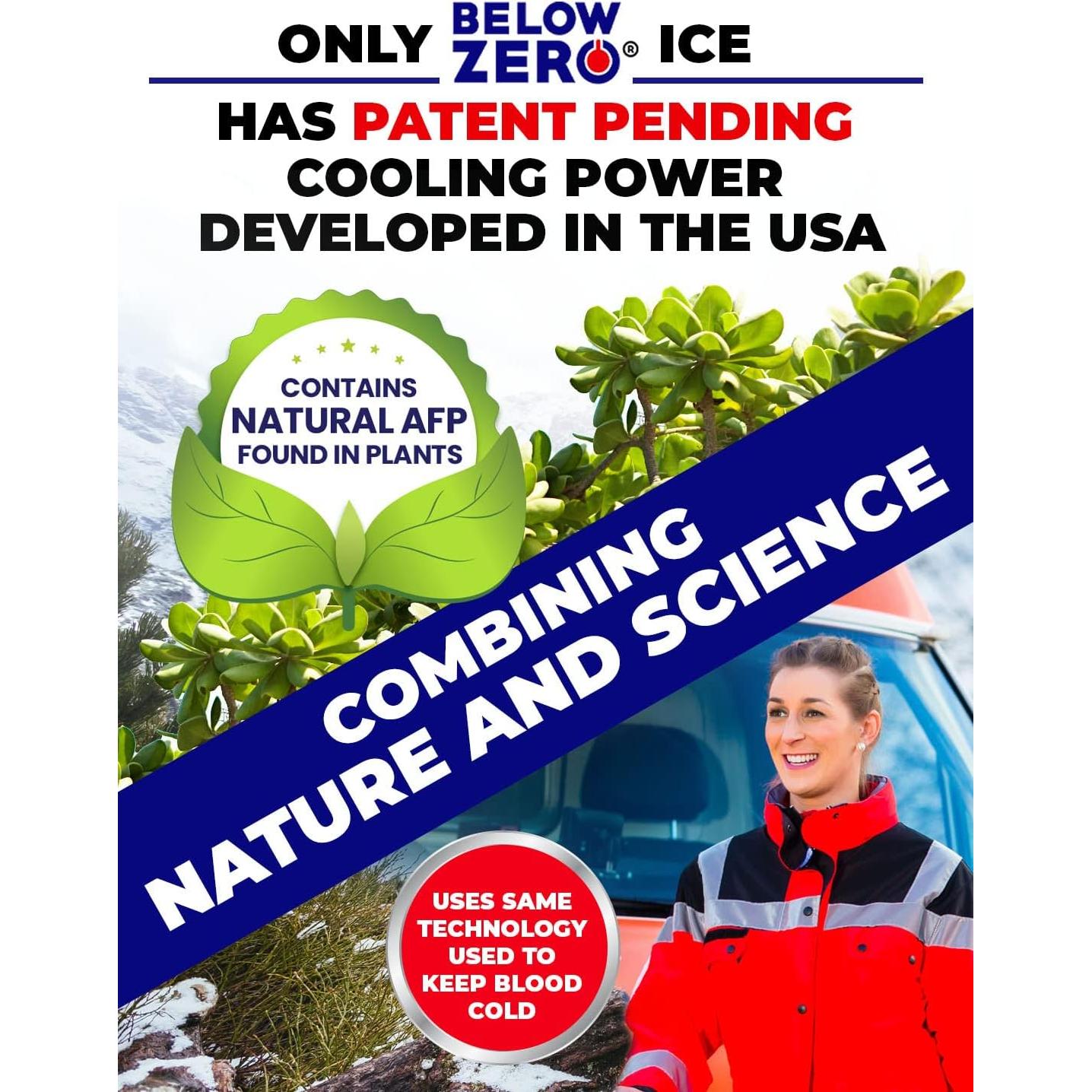 Paquete de Hielo Reutilizable Below Zero 2 Unidades 35.5x25.4 cm