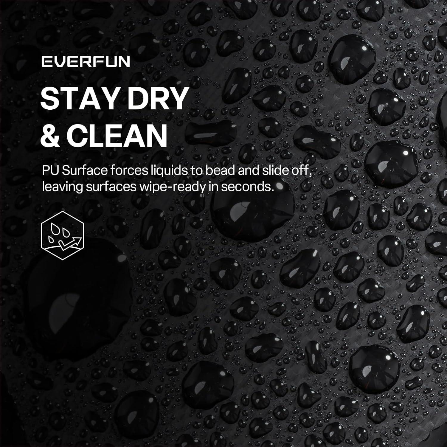 Bolsa de Almuerzo Everfun EF-8008-02 Negra Aislada 24L