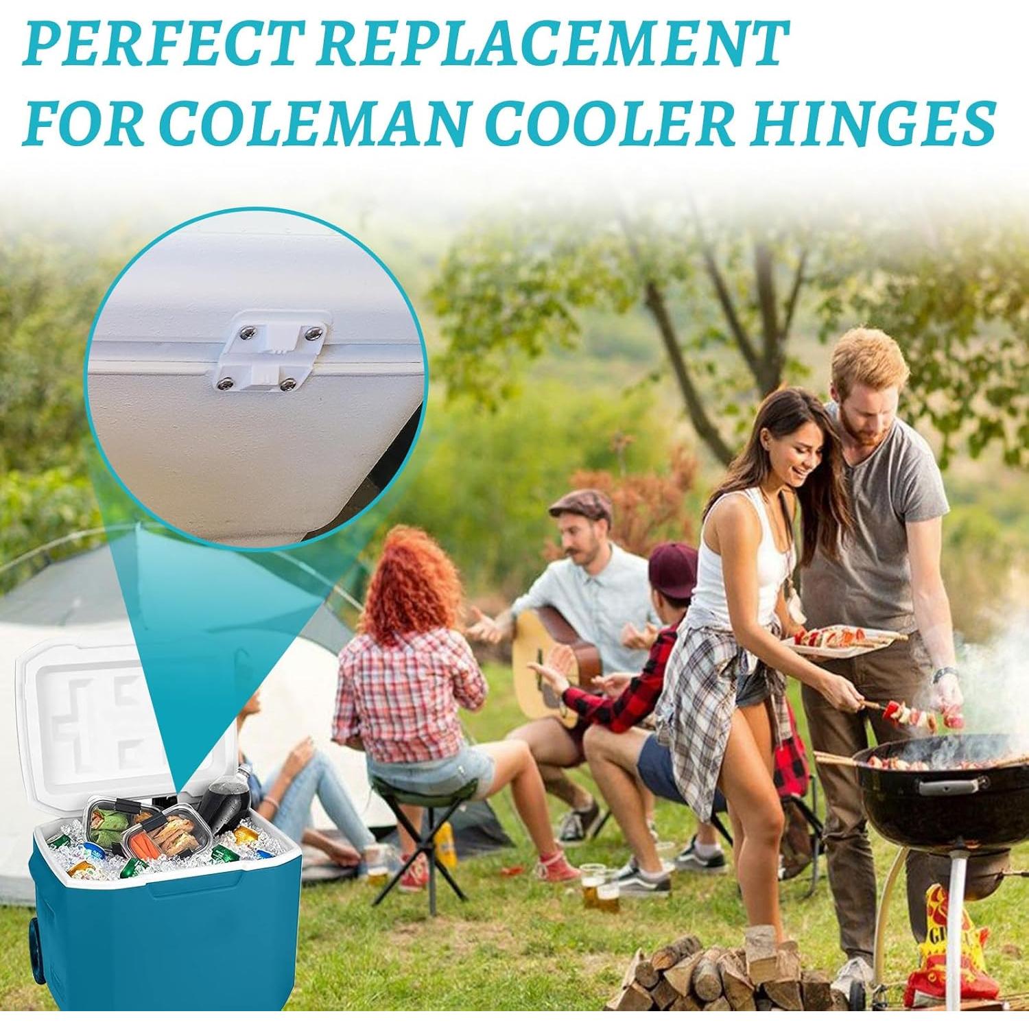 Bisagras de Plástico AFZZ para Enfriadores - Paquete de 4