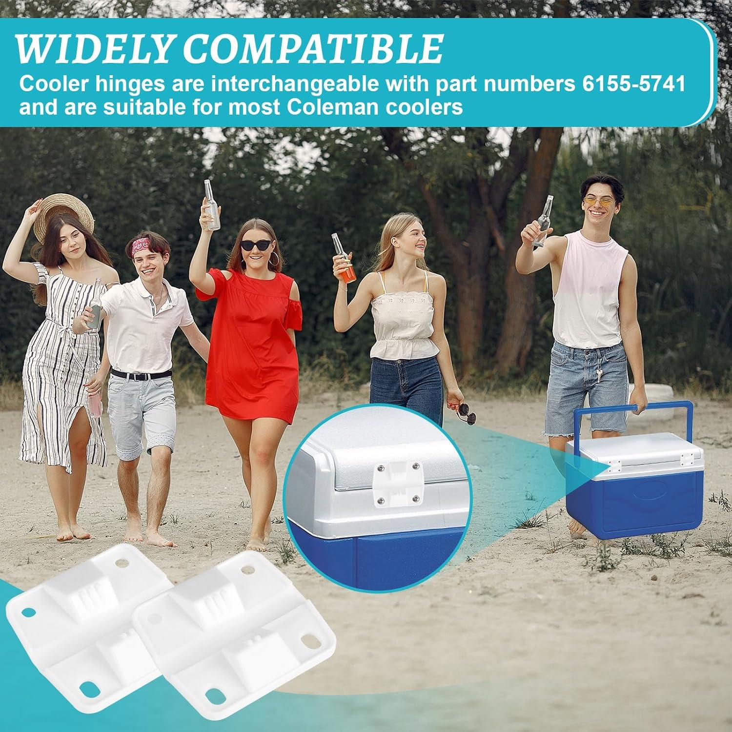 Bisagras de Plástico AFZZ para Enfriadores - Paquete de 4