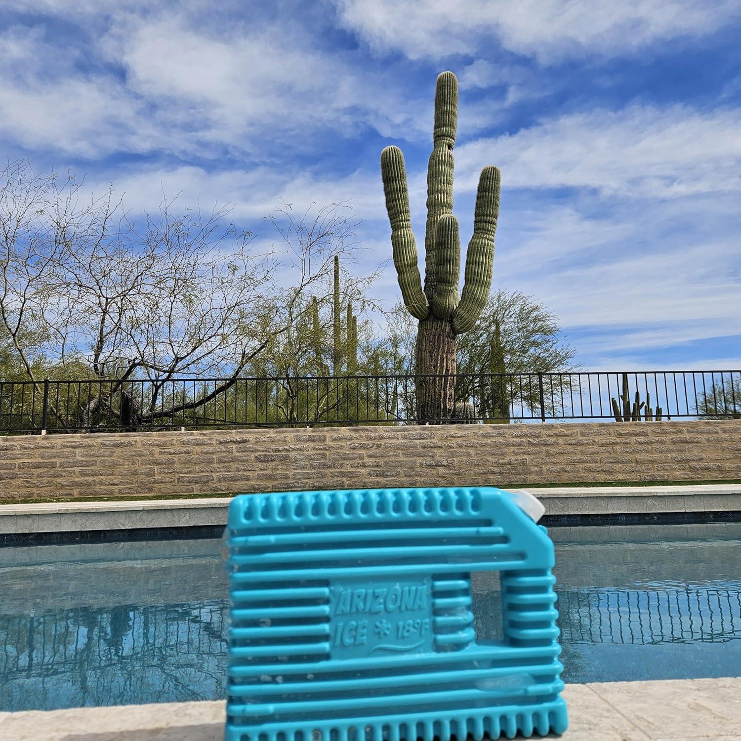 Paquete de Hielo Reutilizable GoCJ AZ Ice | 2 Unidades 1.81kg