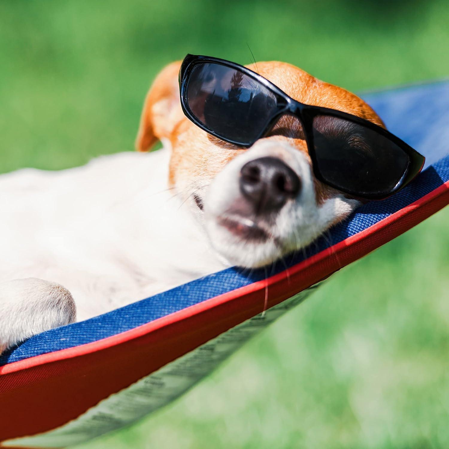 Hamaca portátil con soporte Lavish Home - Gris, 113.4 kg