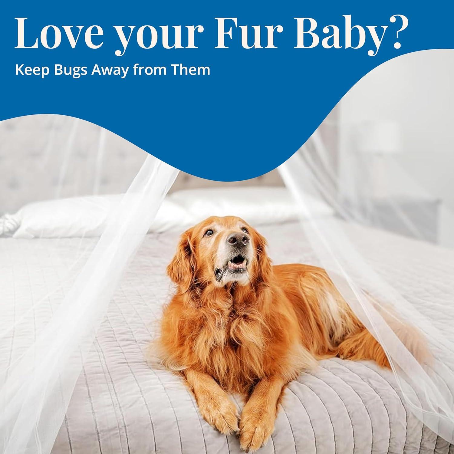 Red de Mosquito Extra Grande Tedderfield 2.6m para Cama