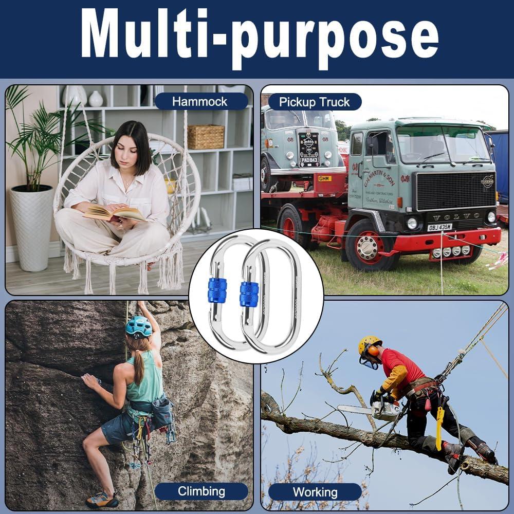 Mosquetón de alta resistencia Kvittra DSK Grande 25KN Plata