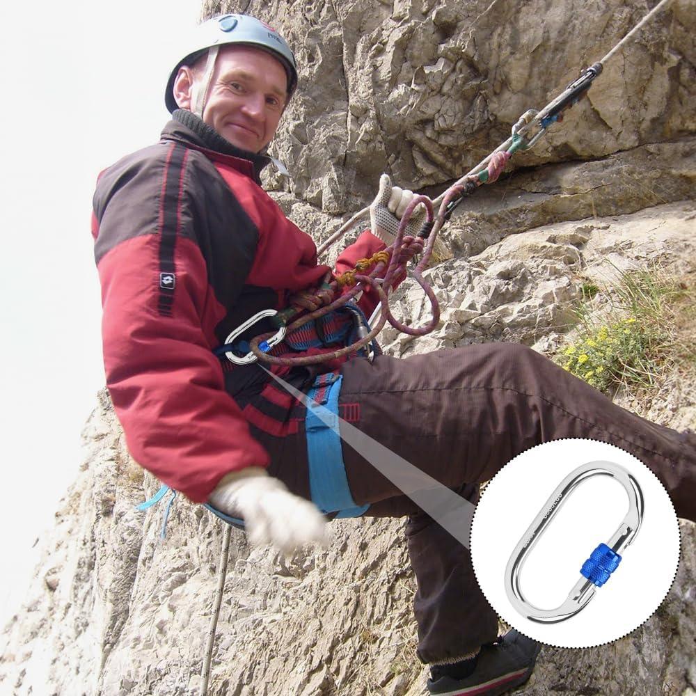 Mosquetón de alta resistencia Kvittra DSK Grande 25KN Plata