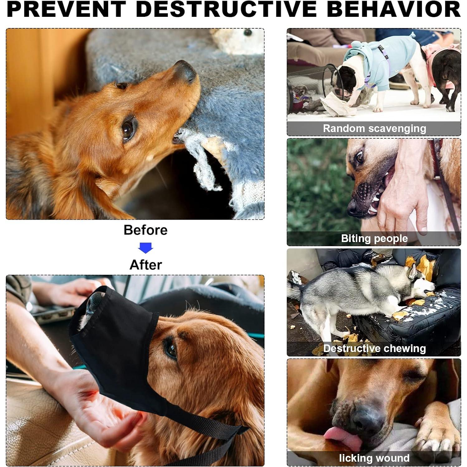 Kit de Primeros Auxilios para Mascotas GPUSFAK 1.02kg