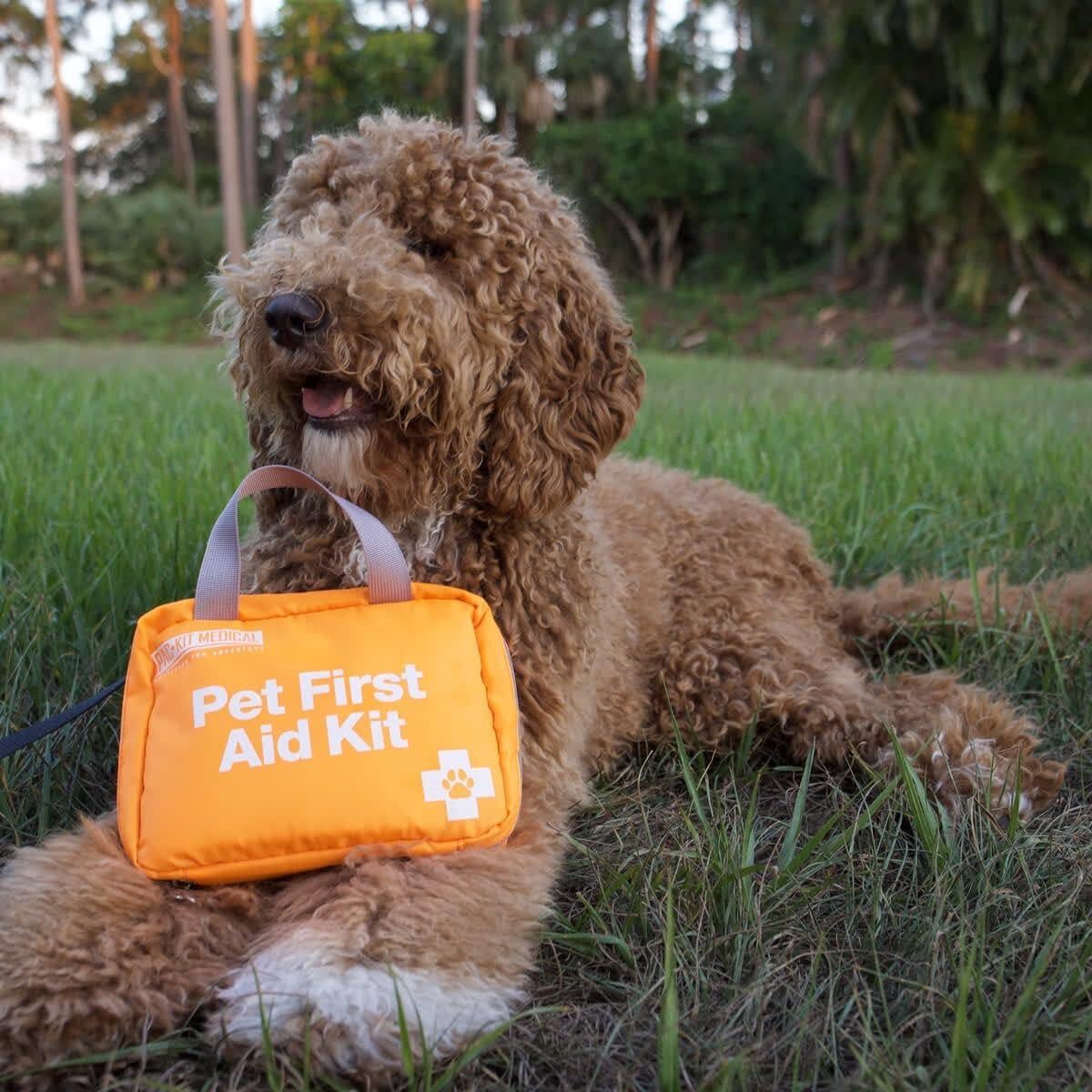 Kit de Primeros Auxilios para Mascotas Pac-Kit 38 Piezas