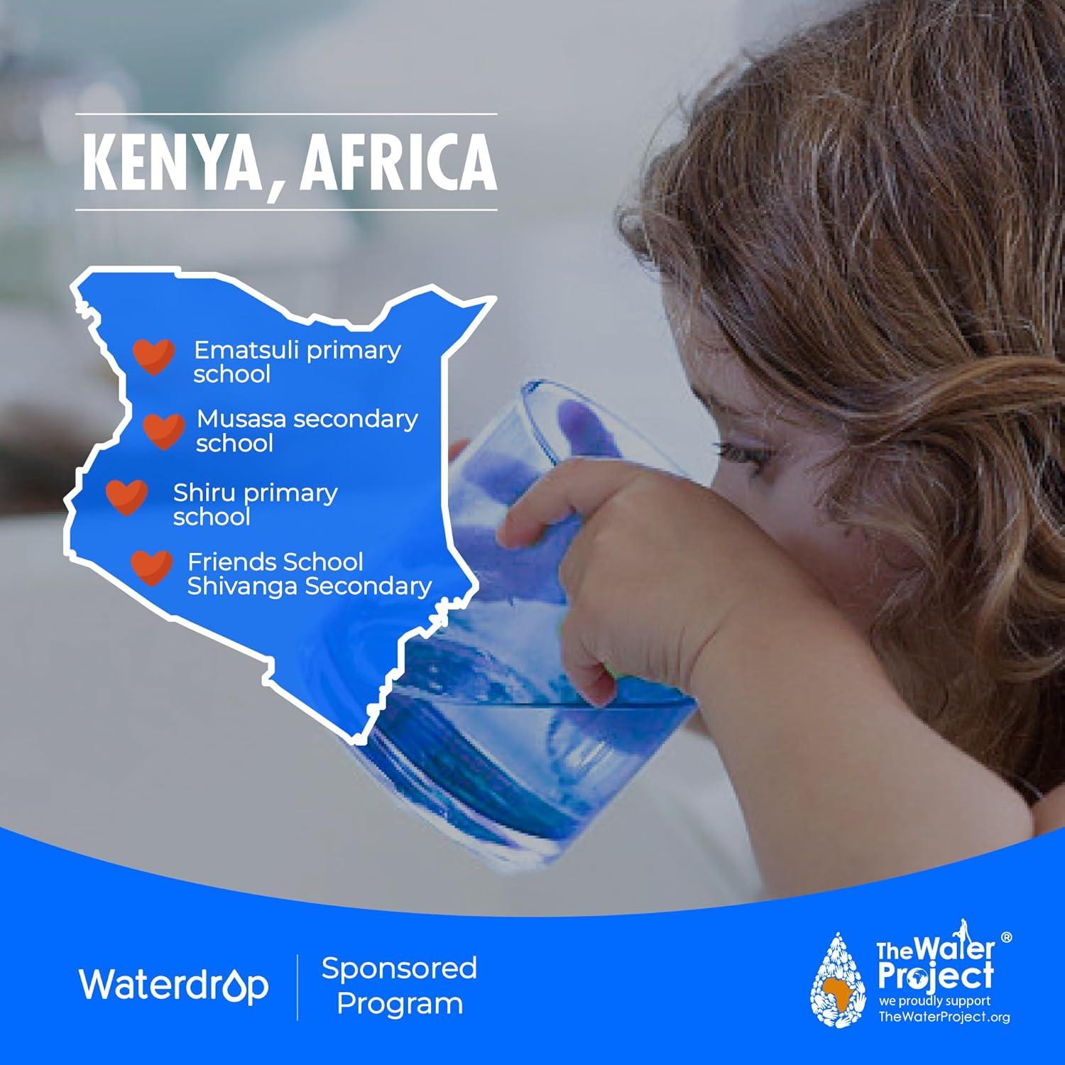 Filtro de Agua Waterdrop WD-G3-CB, Compatible con WD-G3-W