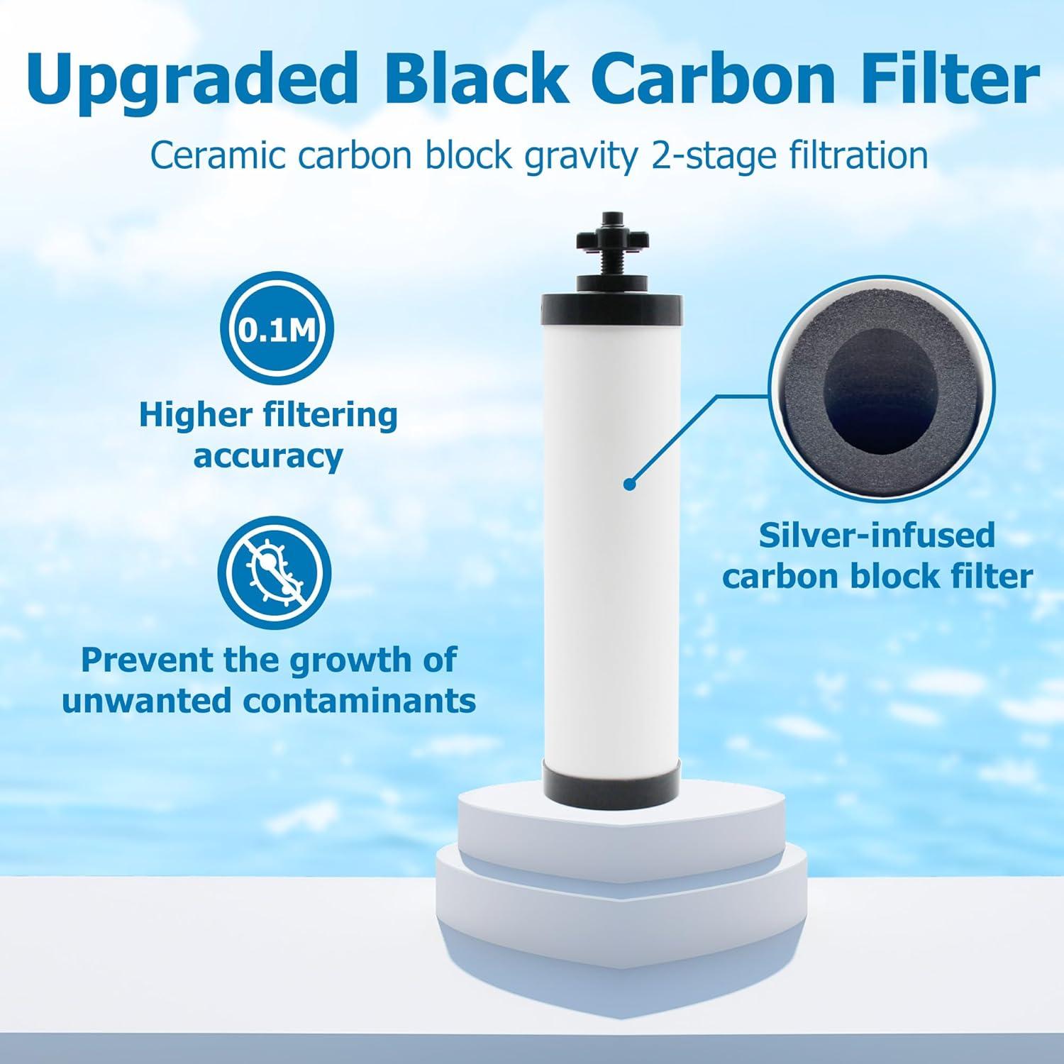 Filtro Cerámico Larayci Reemplazo 2 Unidades para Berkey