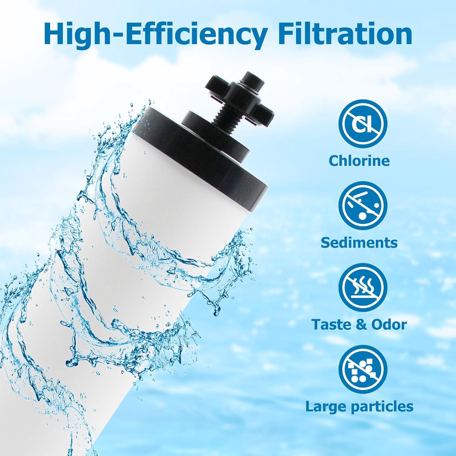 Filtro Cerámico Larayci Reemplazo 2 Unidades para Berkey