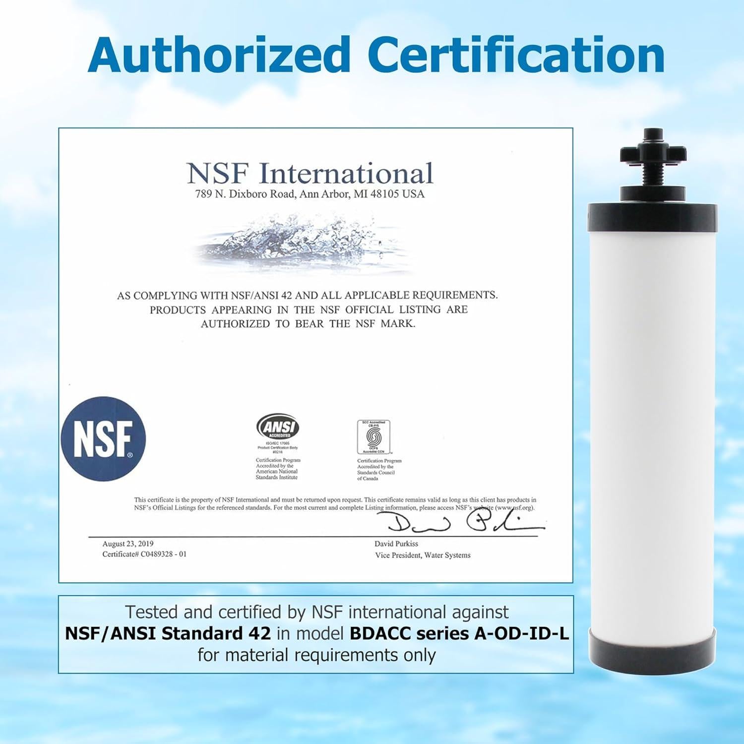 Filtro Cerámico Larayci Reemplazo 2 Unidades para Berkey