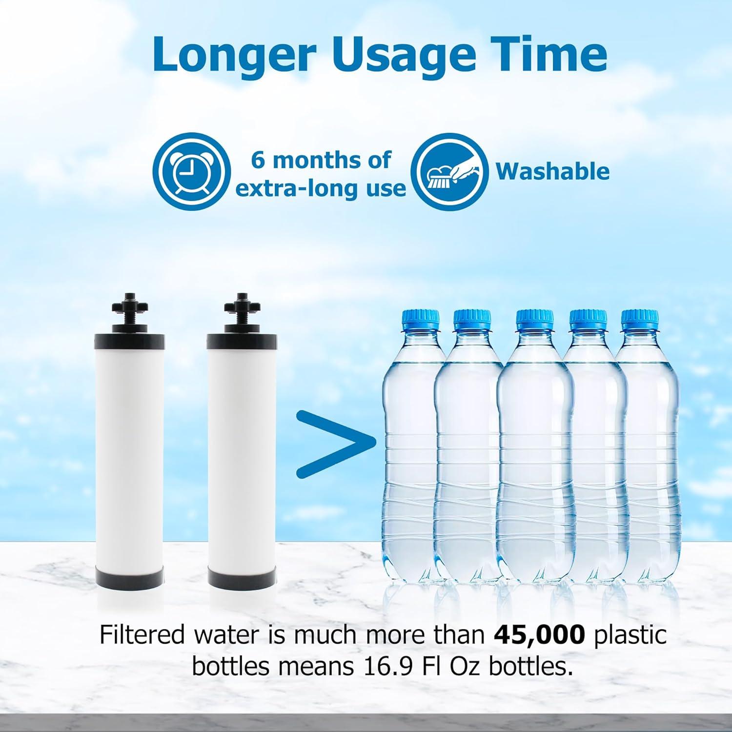 Filtro Cerámico Larayci Reemplazo 2 Unidades para Berkey