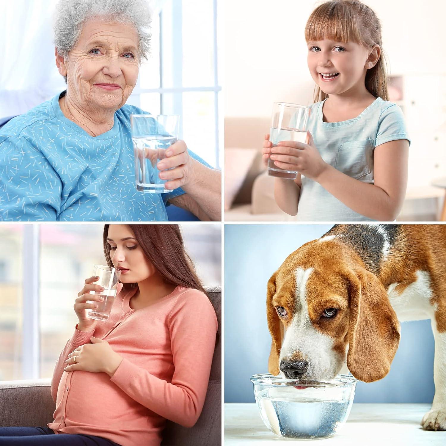 T1 Series 1-Year Replacement Filter Cartridge Pack Set for Model T1-400UV Tankless Reverse Osmosis Water Filter System (2*PP + 2*CTO + 1*RO + 2*T33)