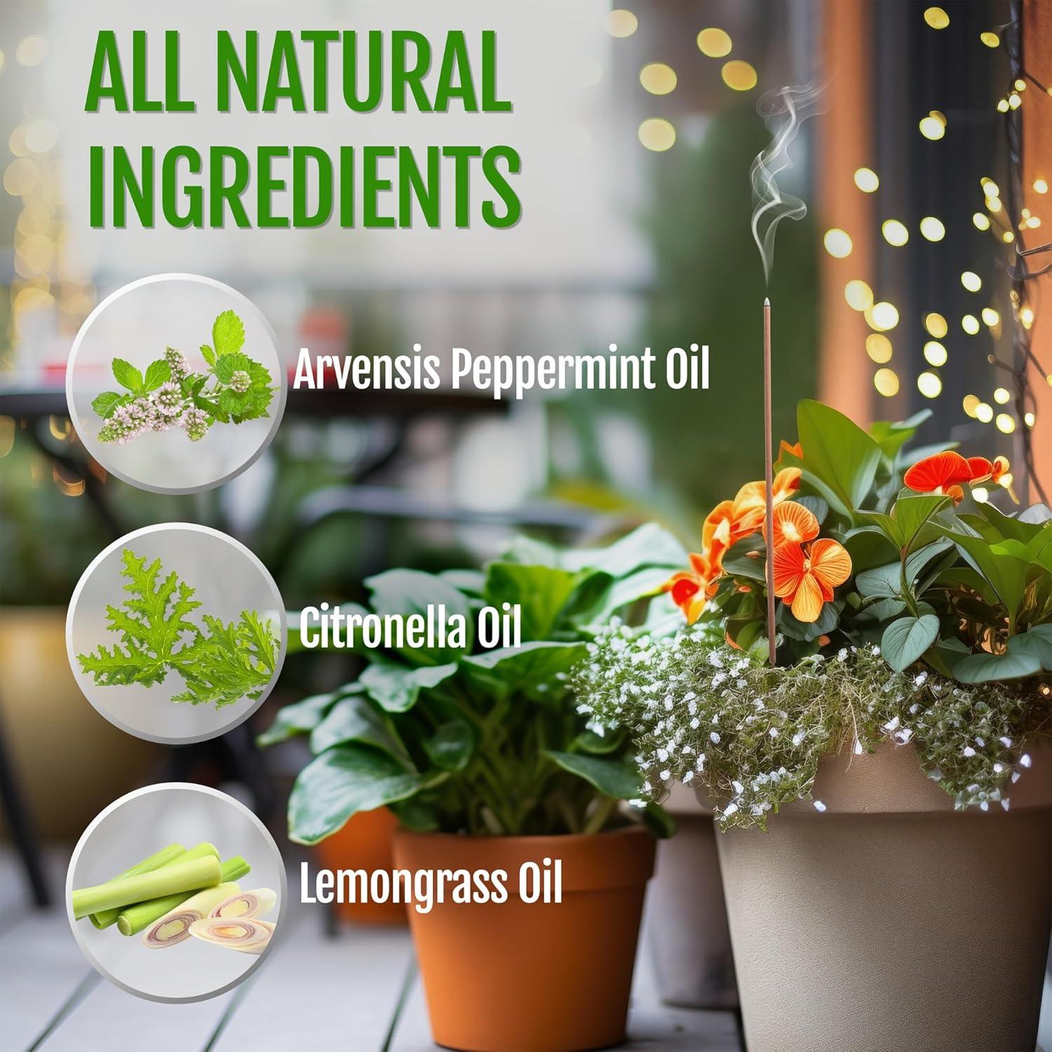 Varitas Repelentes de Mosquitos Mintronella - 100 Unidades