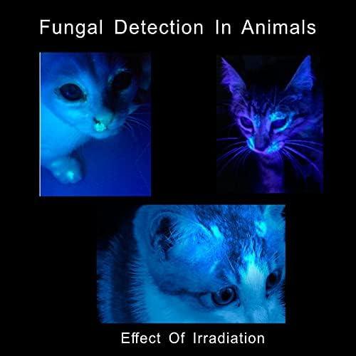 Paquete de 2 Linternas UV LELUO Mini 14cm Impermeables