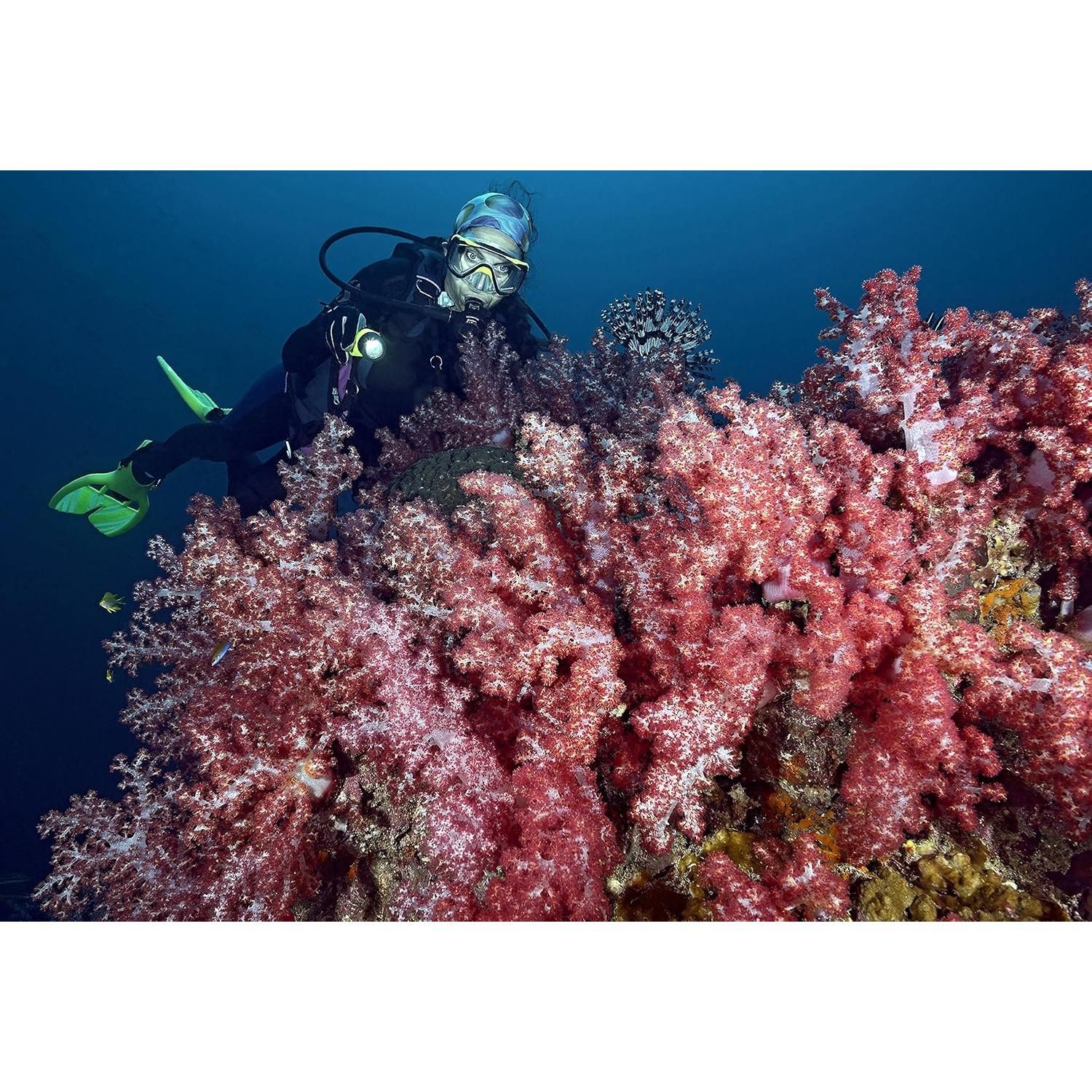 Linterna LED Princeton Tec AMP League 260 Lúmenes Amarillo