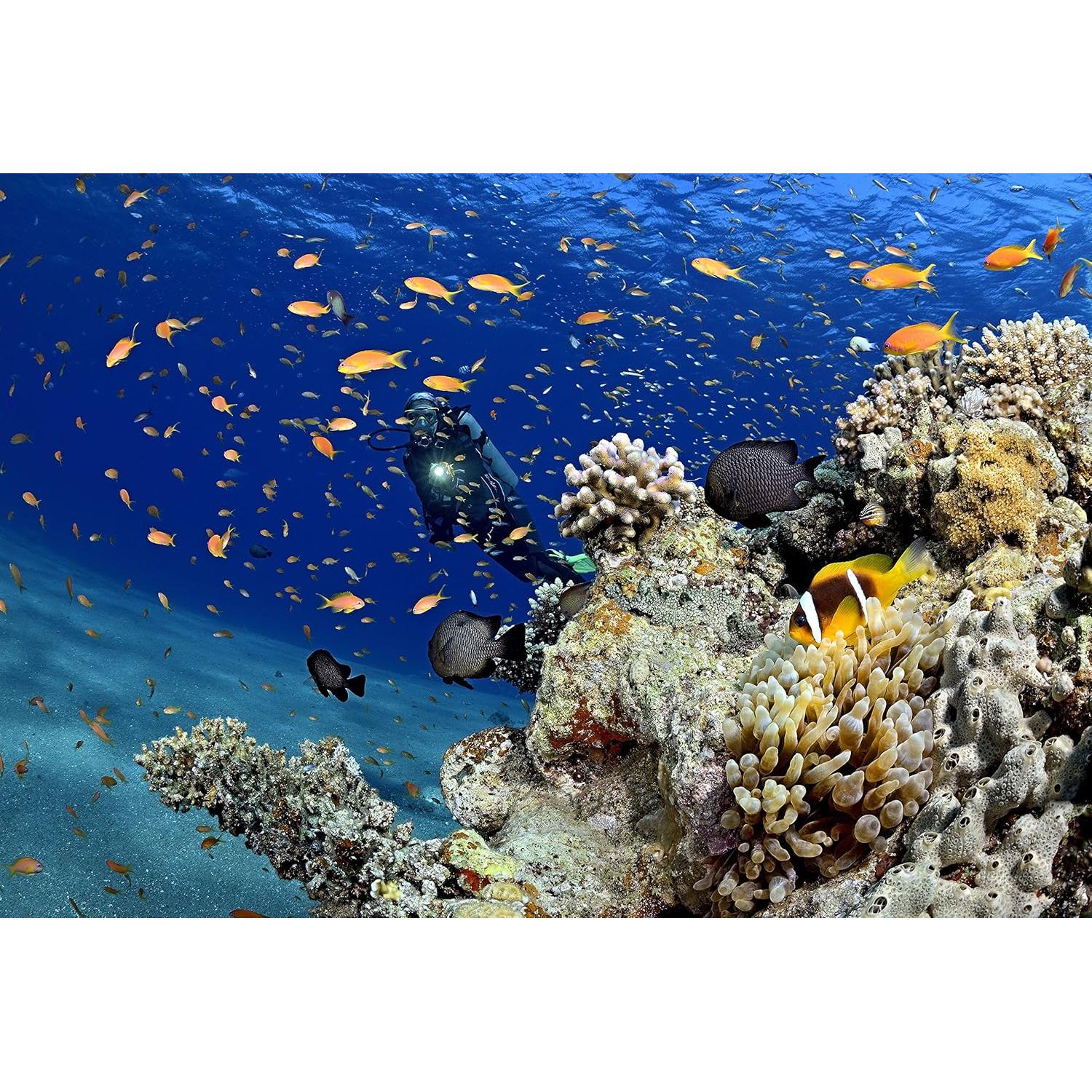 Linterna LED Princeton Tec AMP League 260 Lúmenes Amarillo