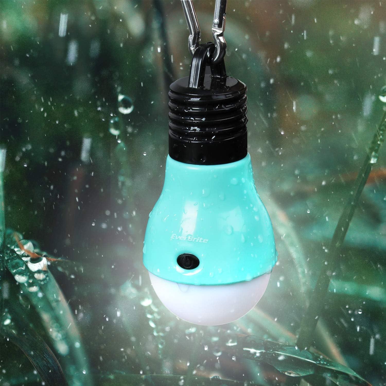 EverBrite Paquete 3 Luces de Camping y 5 Linternas Frontales