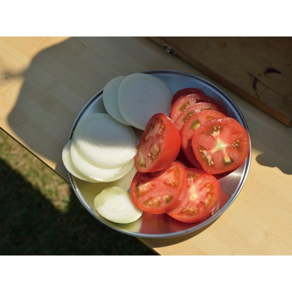 Tableware Plate, TW-034, Stainless Steel, Lightweight for Camping Everyday Use, Made in Japan, Lifetime Product Guarantee