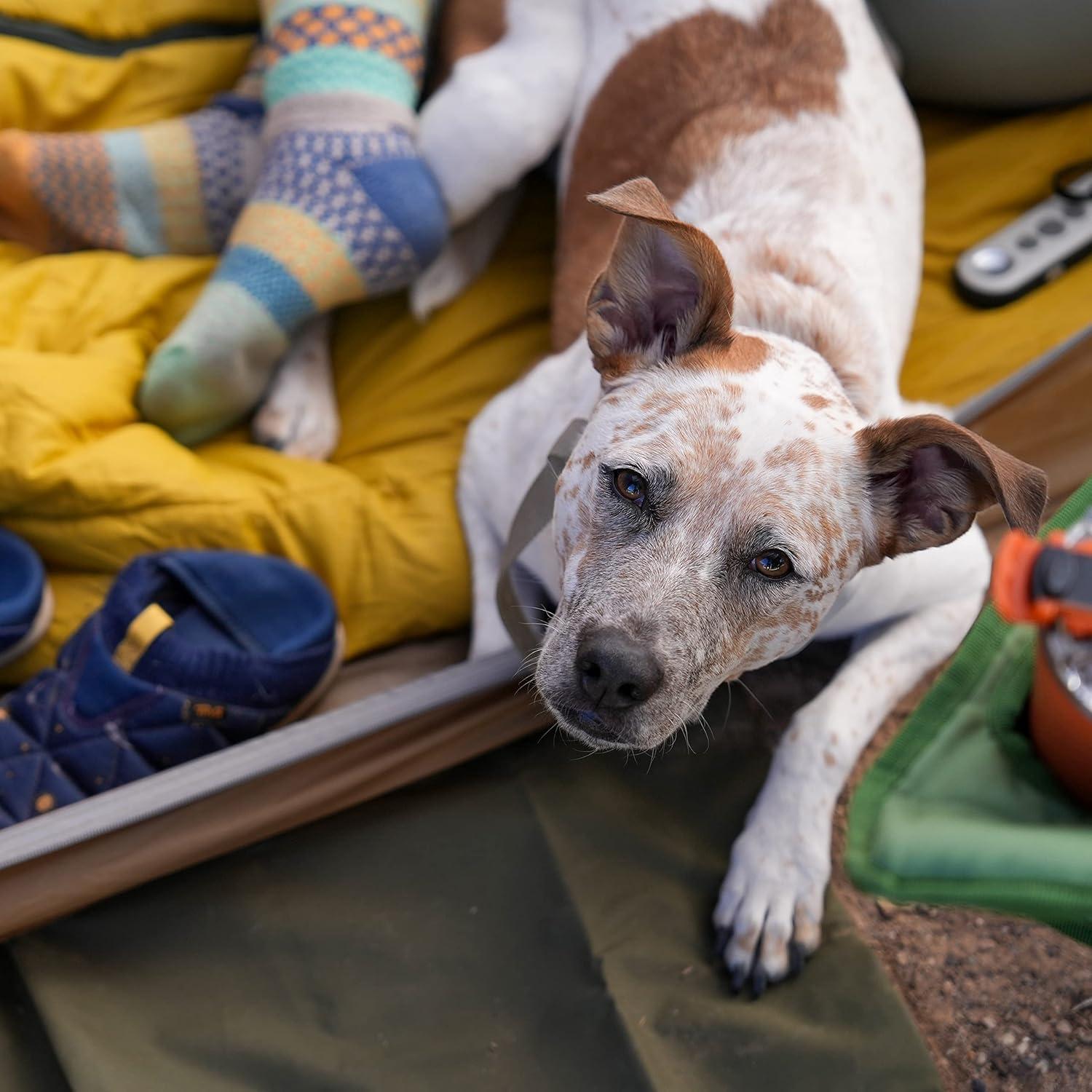 Huella de Carpa Kelty Caboose 4P - Protección Suelo Gris