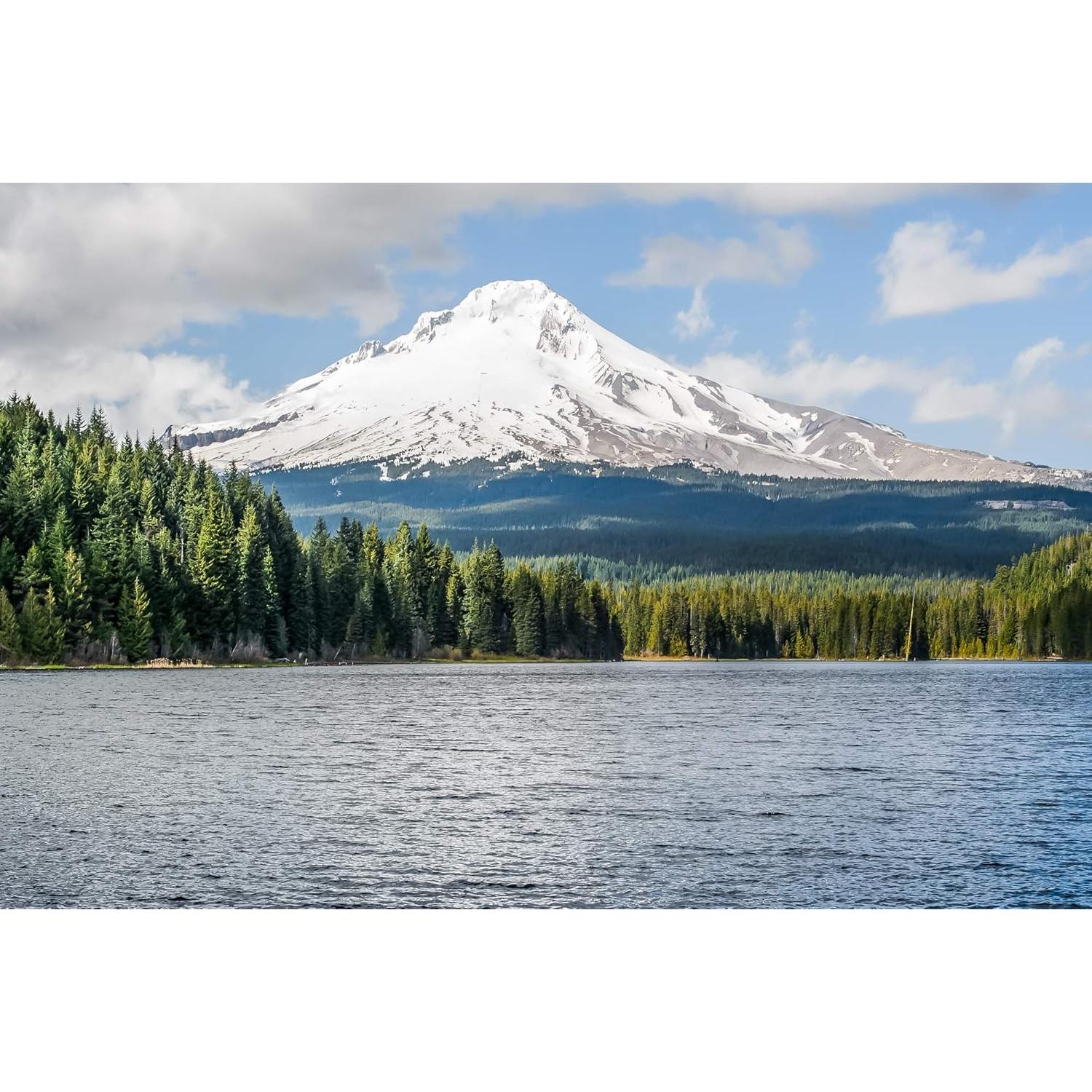 Cabezal de Ducha Flexible Yakima RoadShower 48 cm