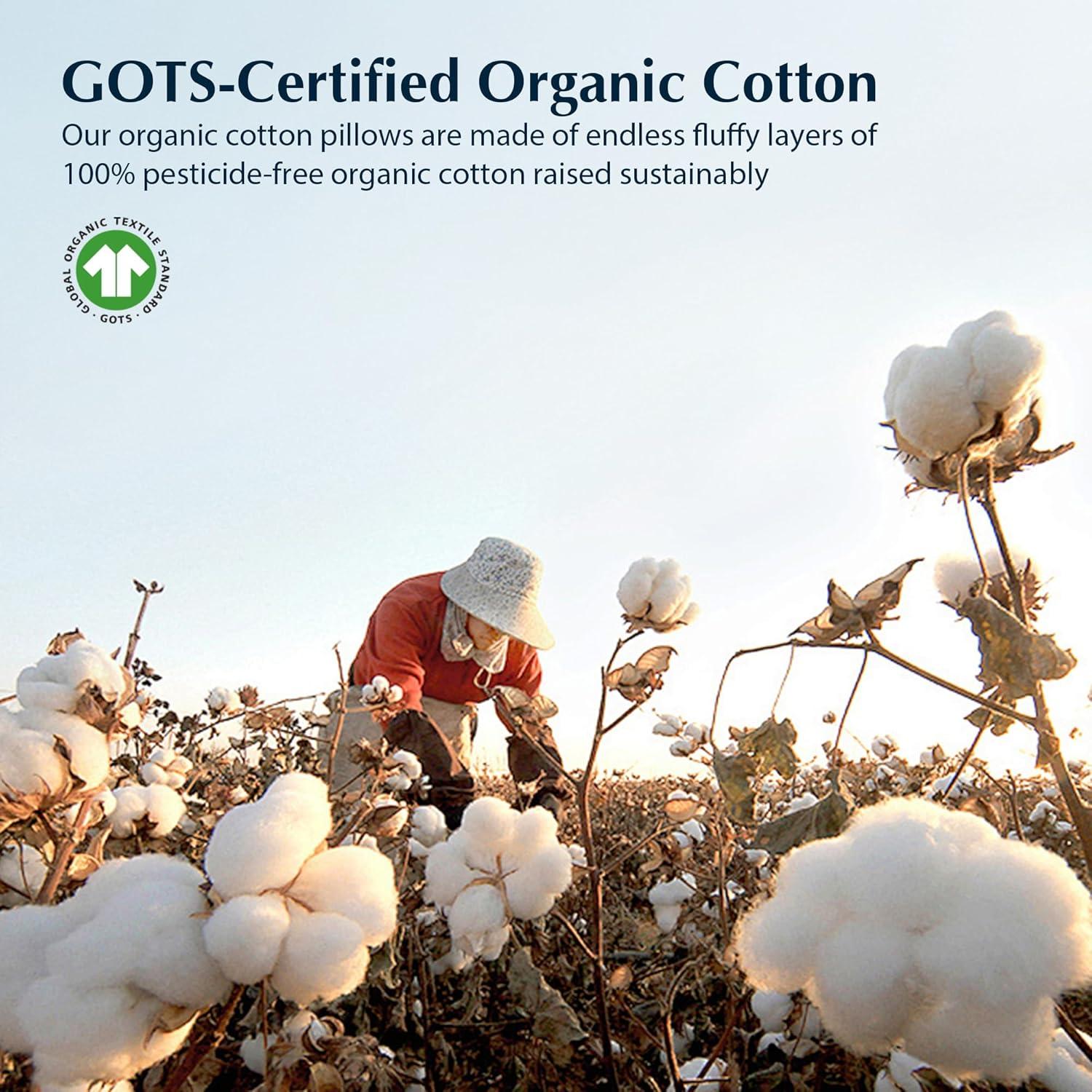 Almohada de Plumas de Pato Pacific Coast King Hipoalergénica