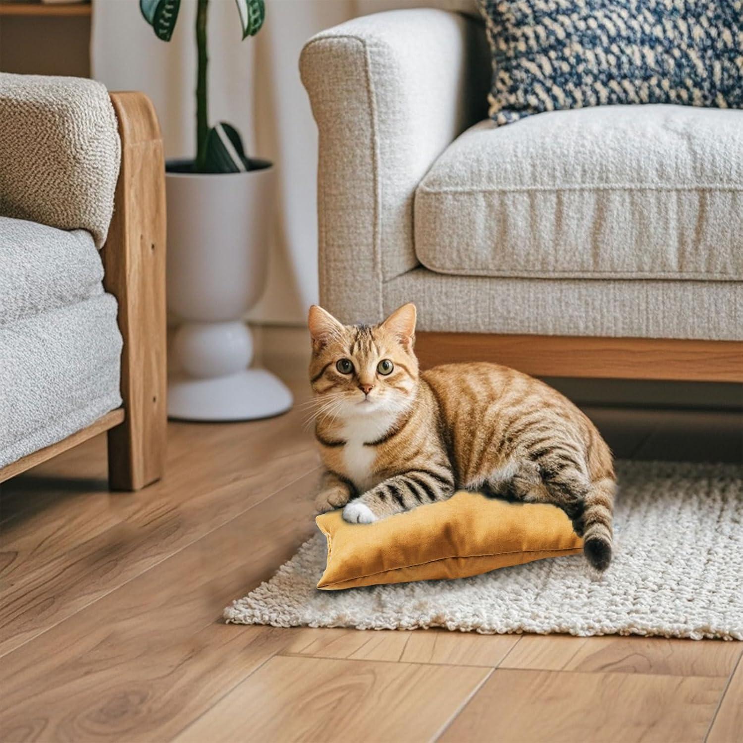 Juego de 2 Almohadas Pequeñas Marrywindix 24x14cm Naranja