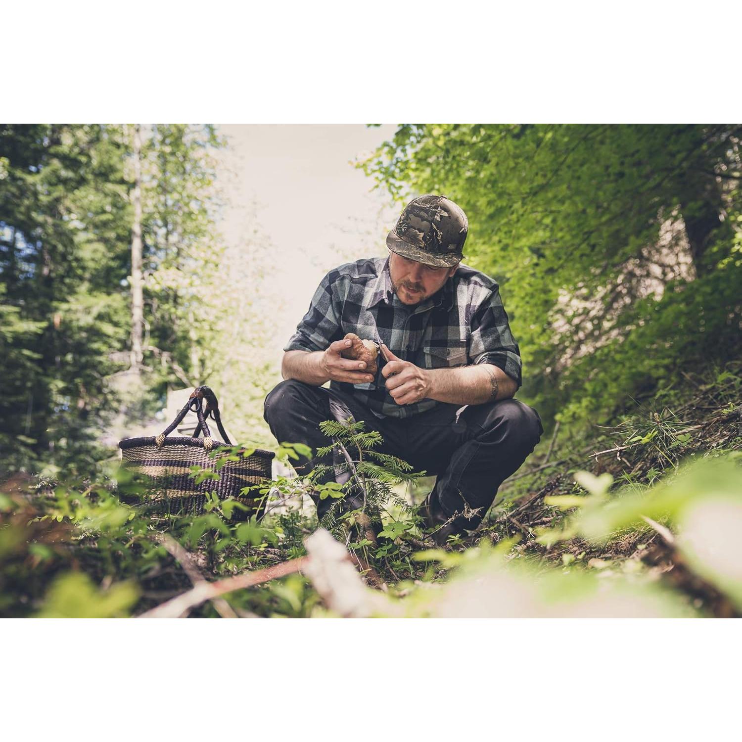 Cuchillo Plegable Gerber Gear Asada 8.13 cm Oliva EDC