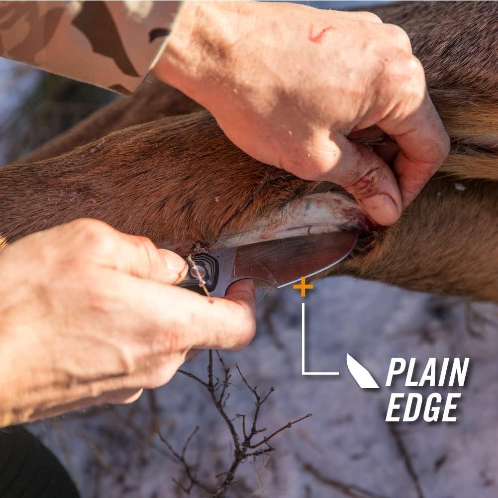 Cuchillo de Caza Gerber Downwind Caper con Funda Negra