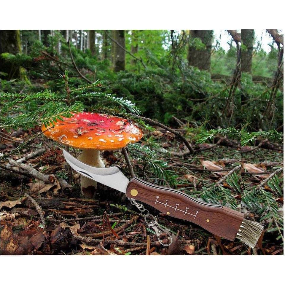 Cuchillo Plegable para Champiñones Yuntis con Cepillo de Cerda