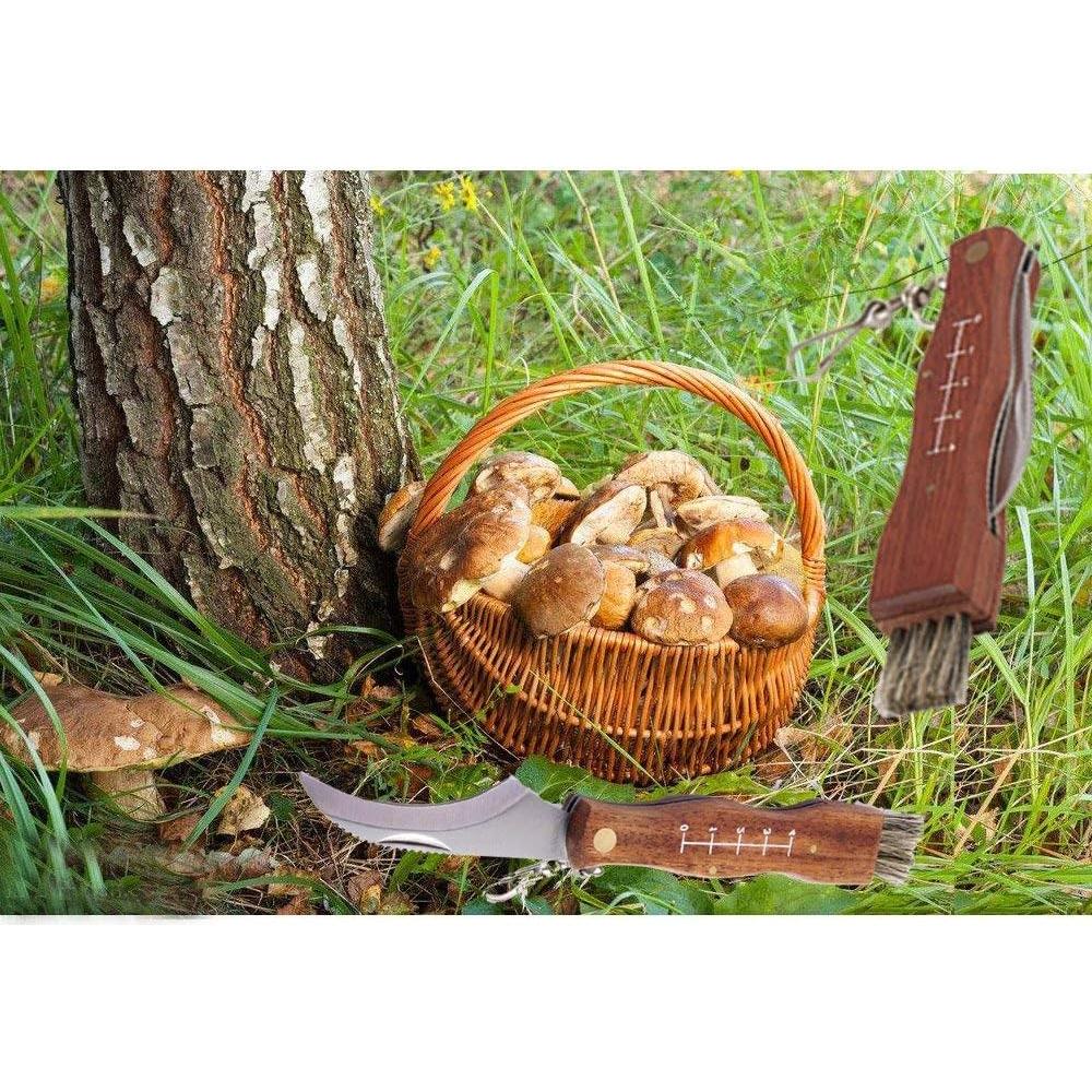 Cuchillo Plegable para Champiñones Yuntis con Cepillo de Cerda