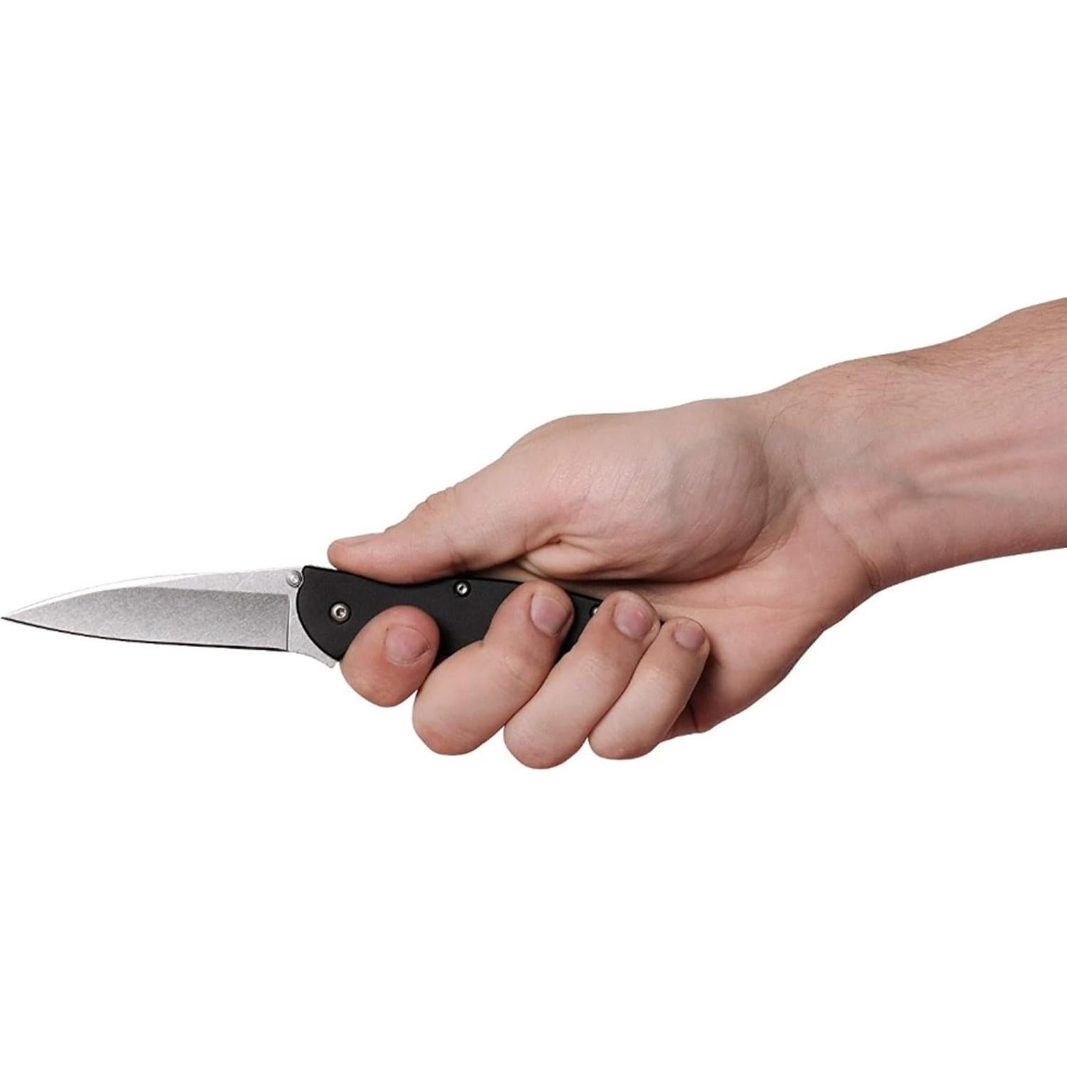 Cuchillo de bolsillo Kershaw Leek Palmetto - Acero Sandvik 7.62 cm