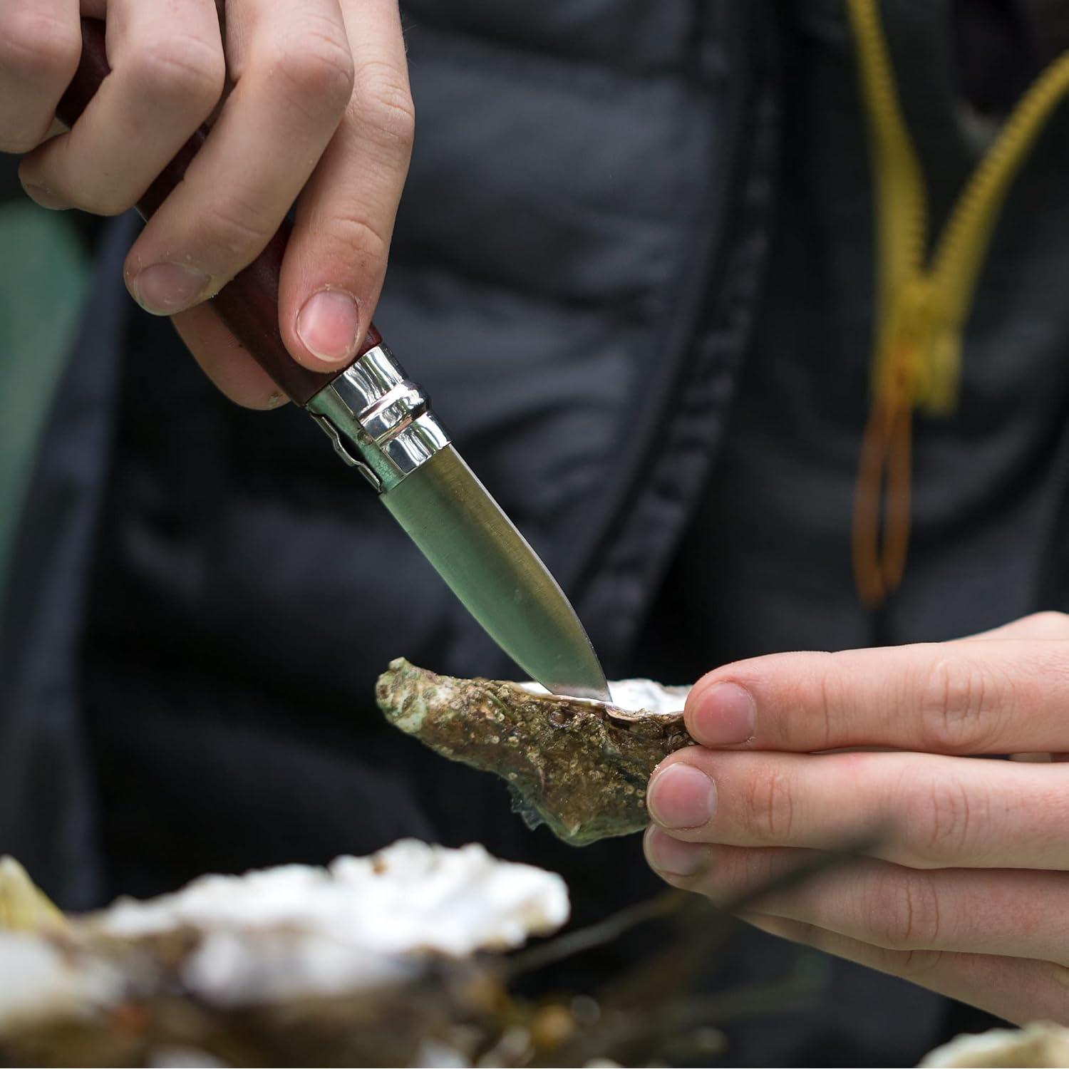 Cuchillo de Ostra Plegable Opinel No.09 Acero Inoxidable 18.3 cm