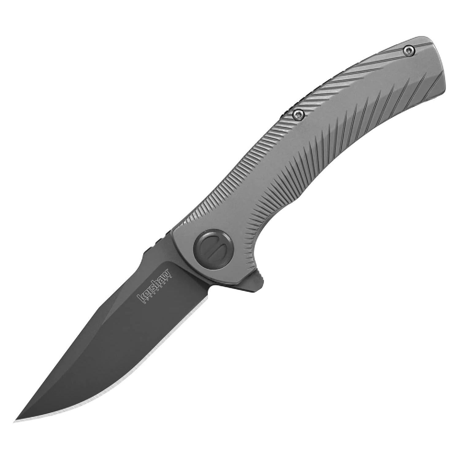 Cuchillo de bolsillo Kershaw Seguin 7.87 cm acero inoxidable